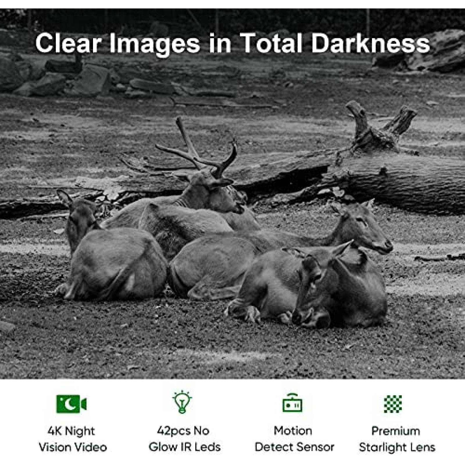 Cmara ECOVOX 4K 30MP WiFi Trail impermeable bluetooth