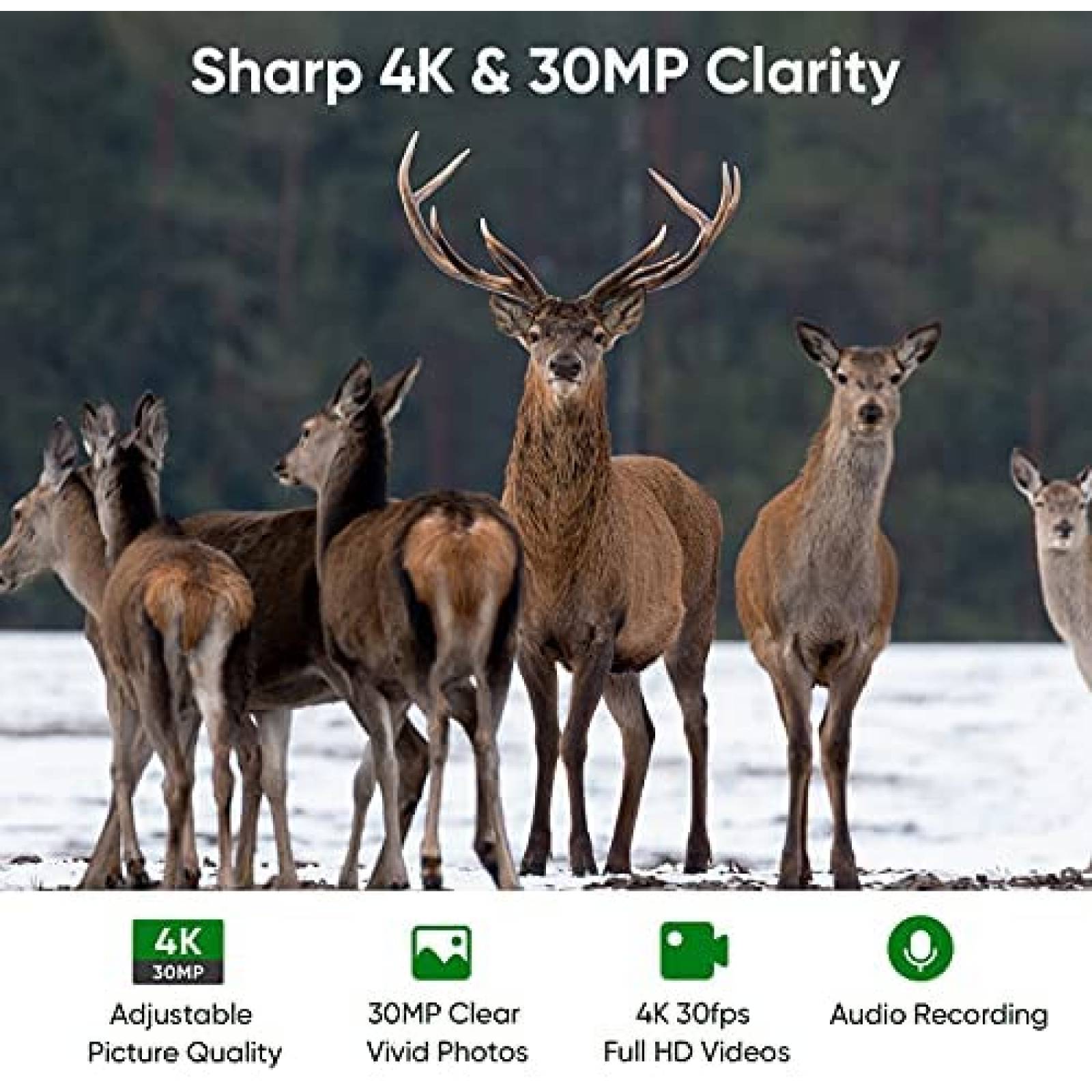 Cmara ECOVOX 4K 30MP WiFi Trail impermeable bluetooth