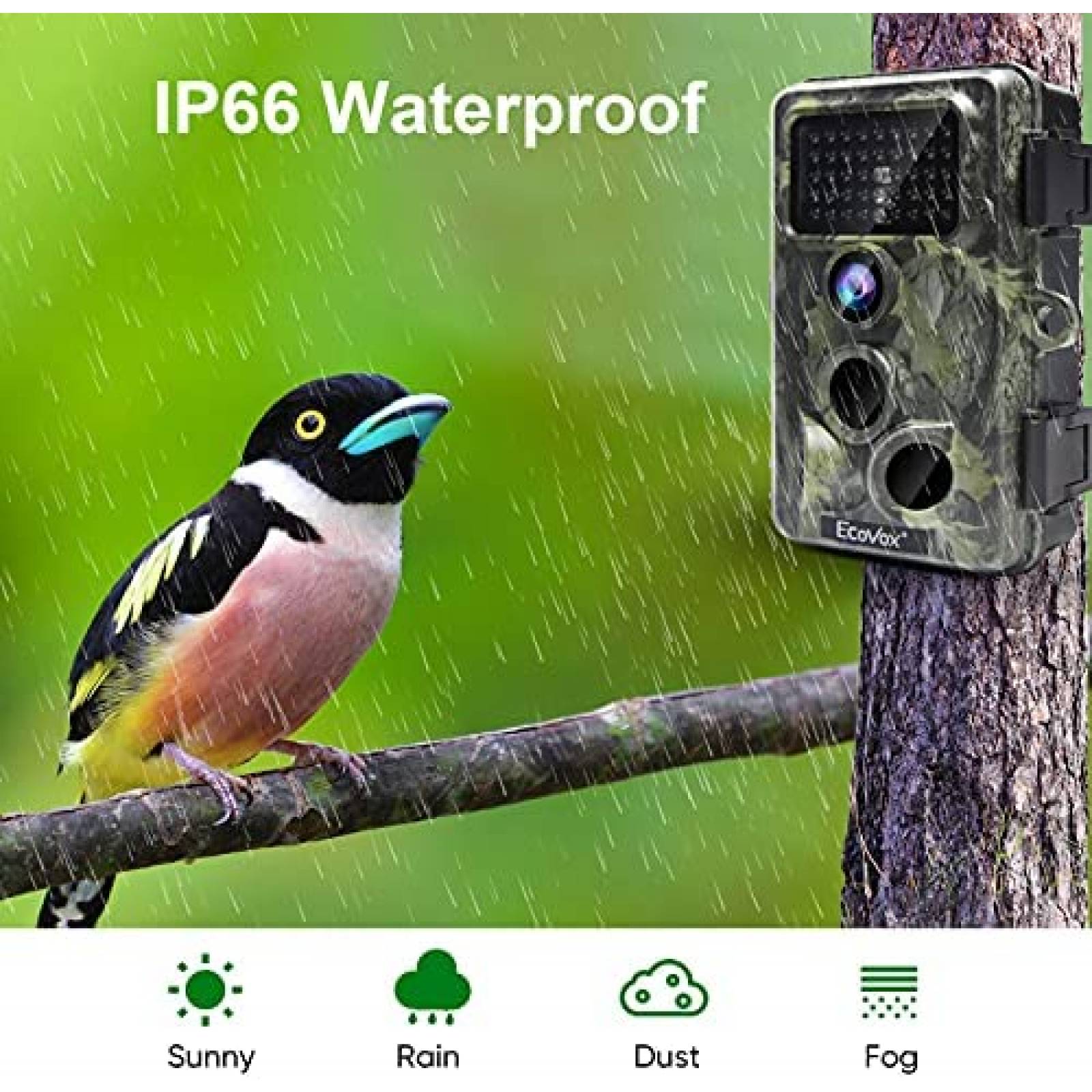 Cmara ECOVOX 4K 30MP WiFi Trail impermeable bluetooth