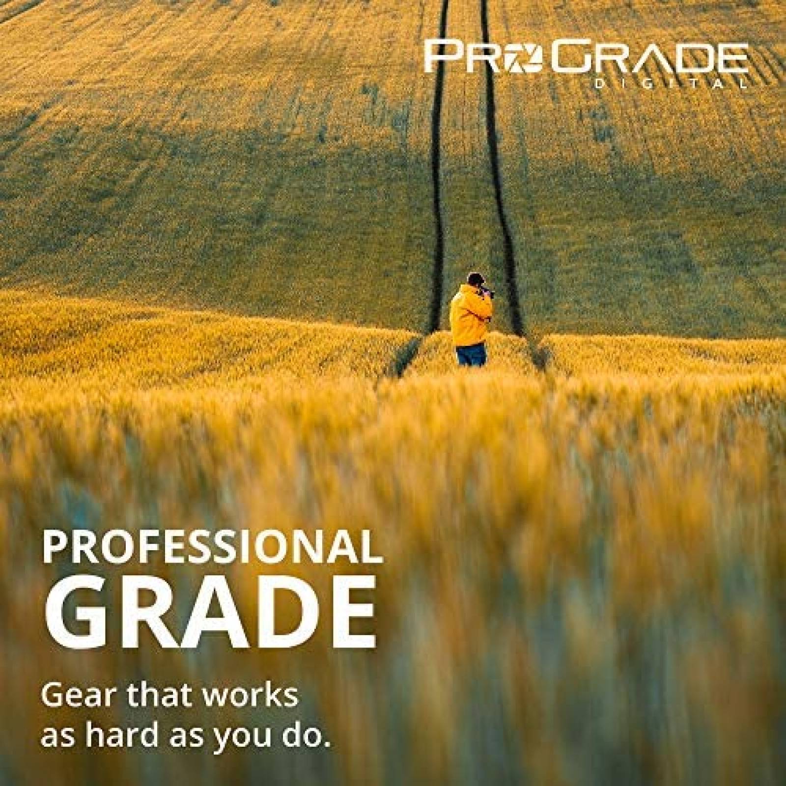 Lector ProGrade CFexpress B Tarjeta de memoria -Negro
