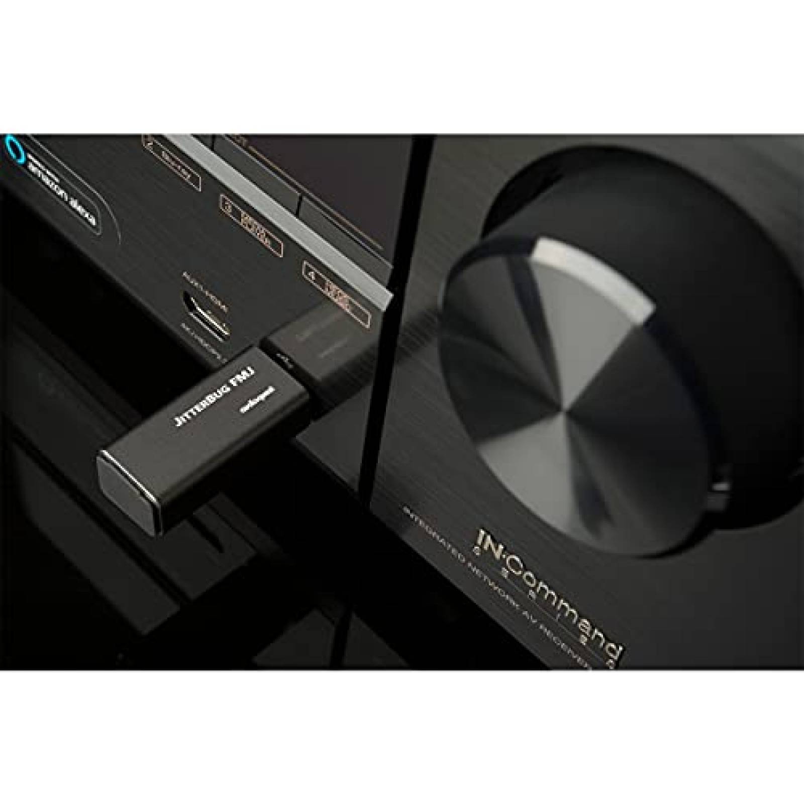 Filtro de Ruido de Alimentacion AudioQuest USB 2.0 -Negro