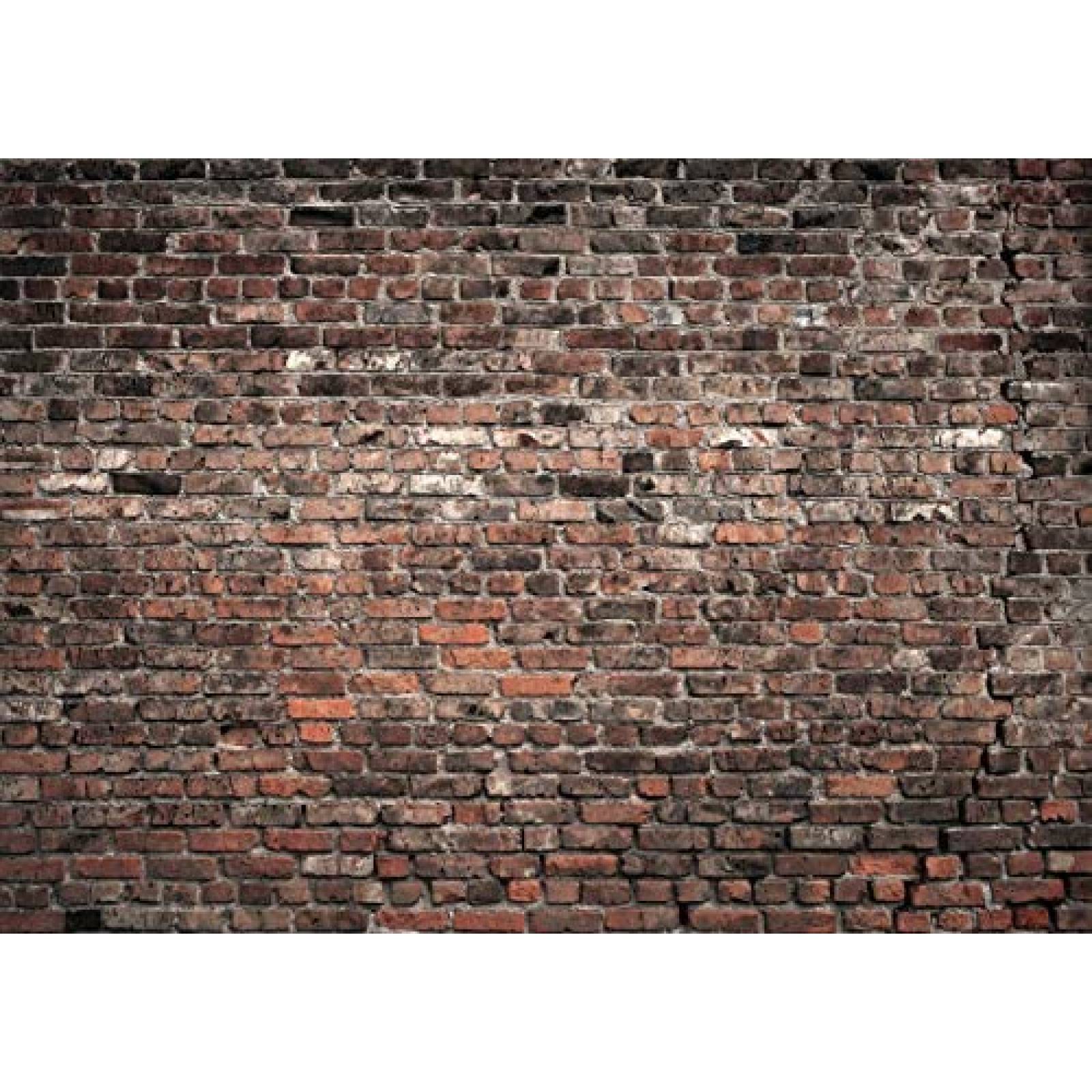 Fondo fotografia LTLYH Muro Decoracion 10x8pies -Cafe