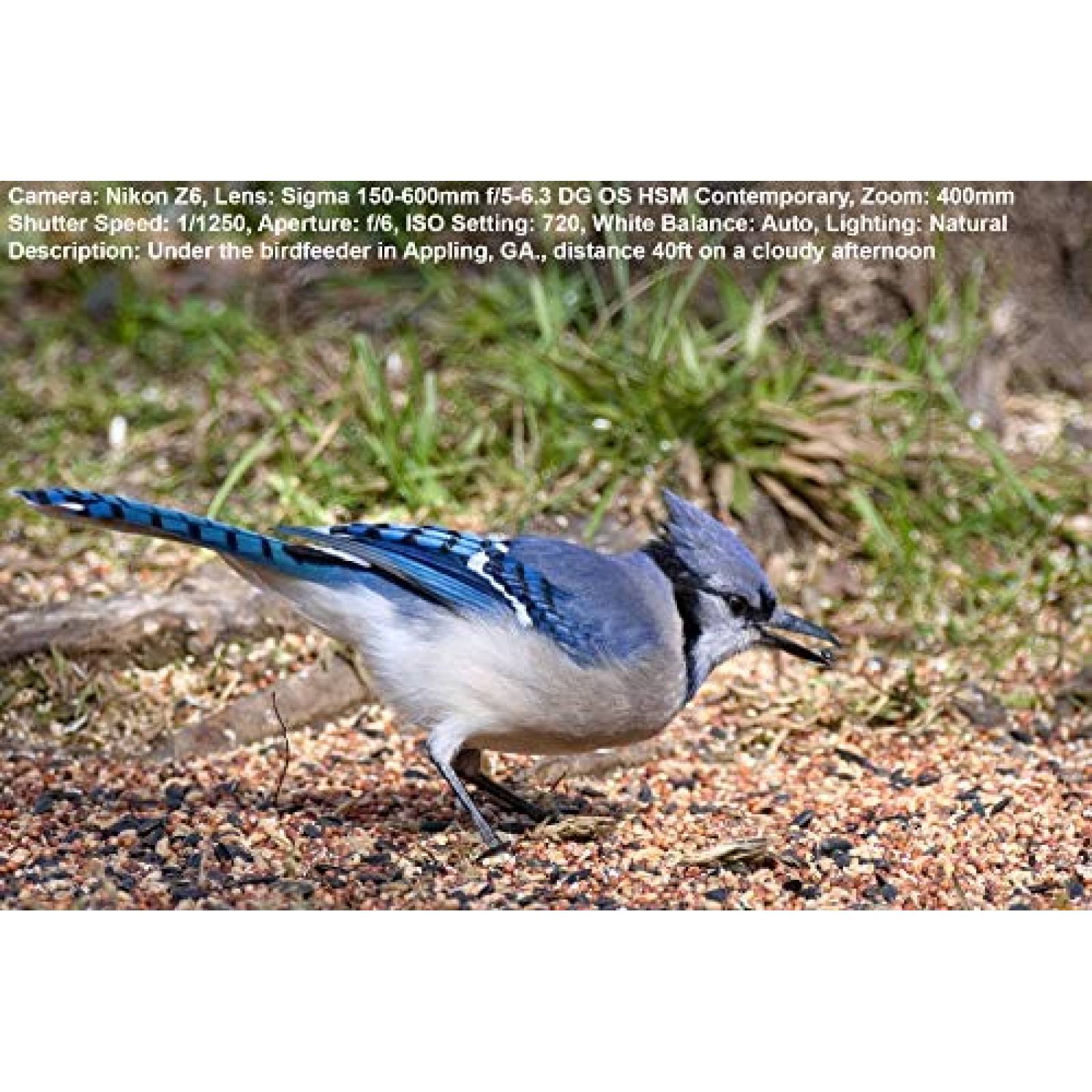 Lente de Camara Sigma 150-600mm f/5-6.3 con Accesorios