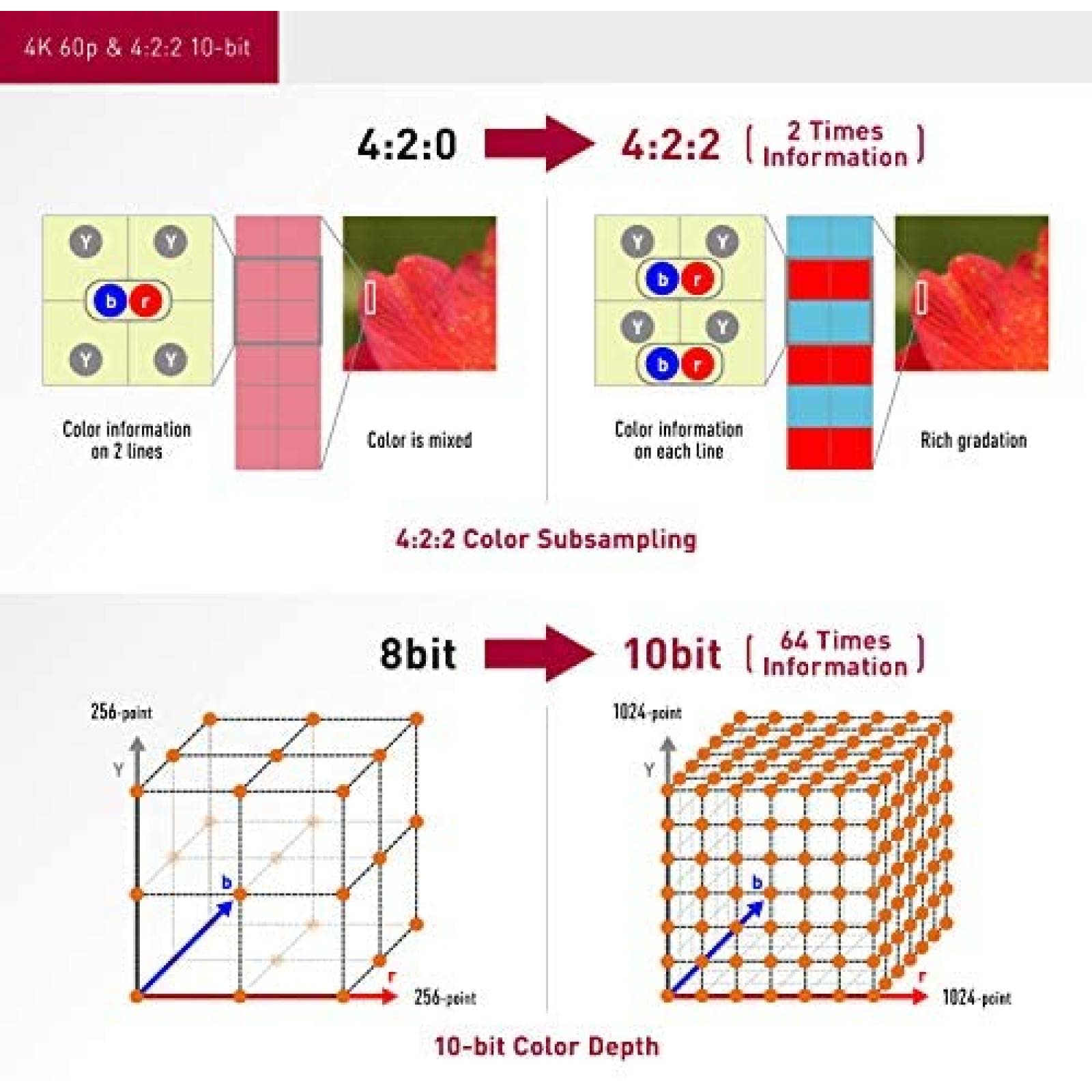 Videocamara Panasonic HC-X1500 4K c/Zoom de 24X Wifi -Negro