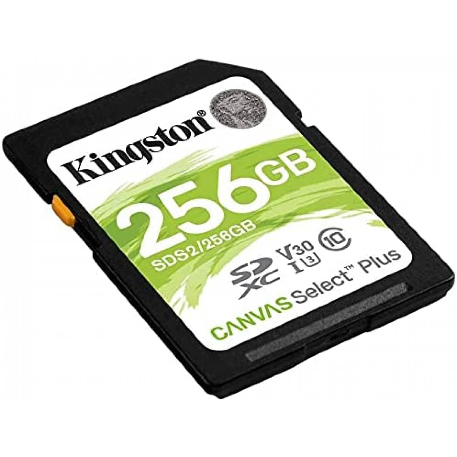 Tarjeta Micro SD Kingston de 256GB + Lector SD EBS -Negro