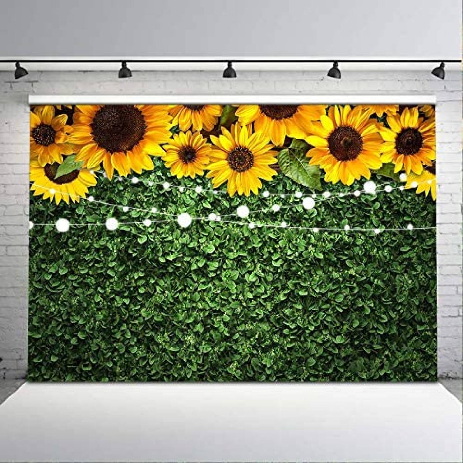 Fondo fotografia Avezano Girasoles 7x5ft -Verde/amarillo
