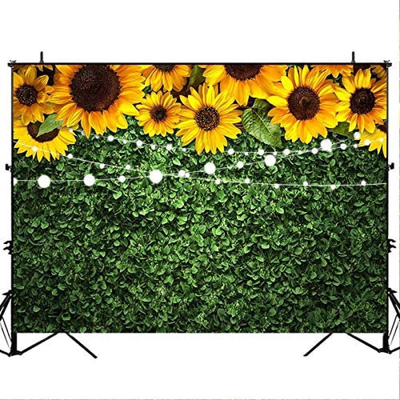 Fondo fotografia Avezano Girasoles 7x5ft -Verde/amarillo