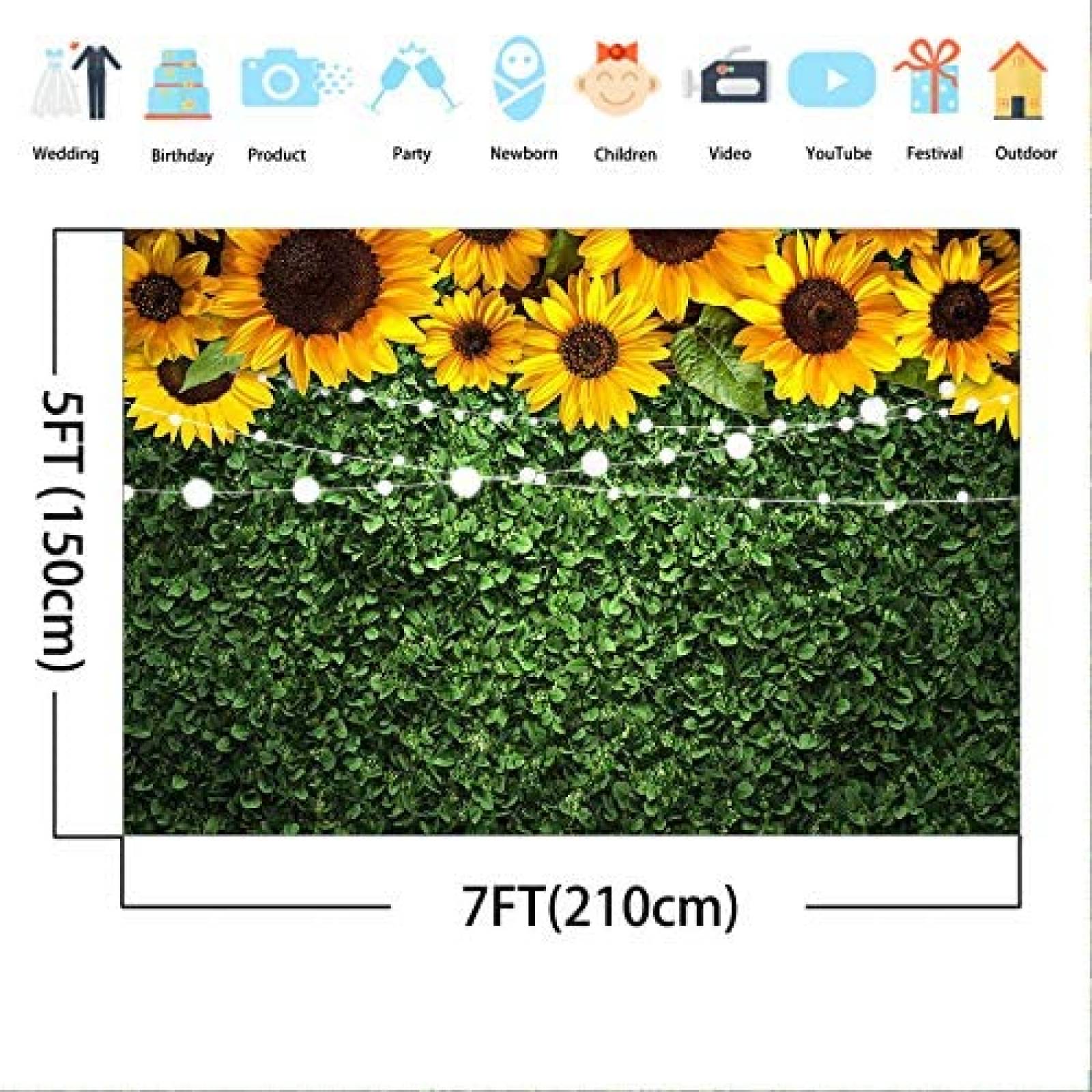 Fondo fotografia Avezano Girasoles 7x5ft -Verde/amarillo