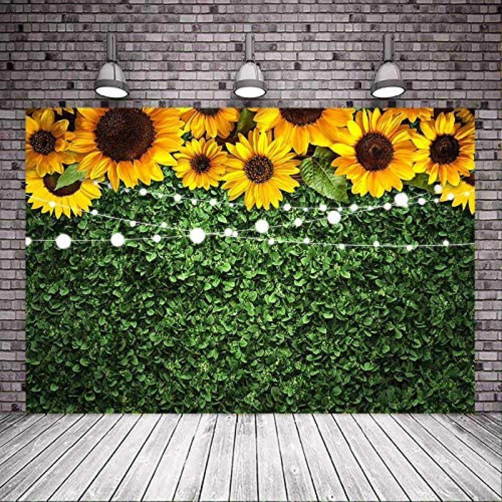 Fondo fotografia Avezano Girasoles 7x5ft -Verde/amarillo