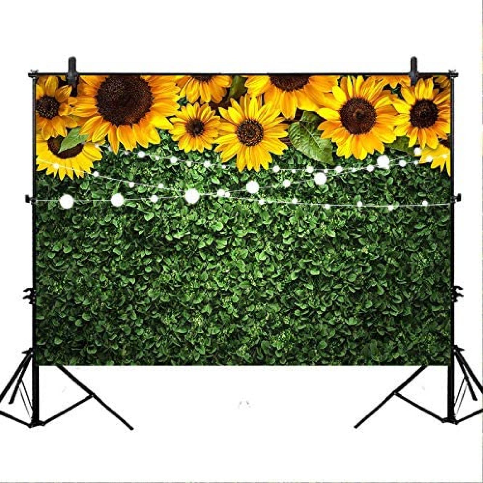 Fondo fotografia Avezano Girasoles 7x5ft -Verde/amarillo