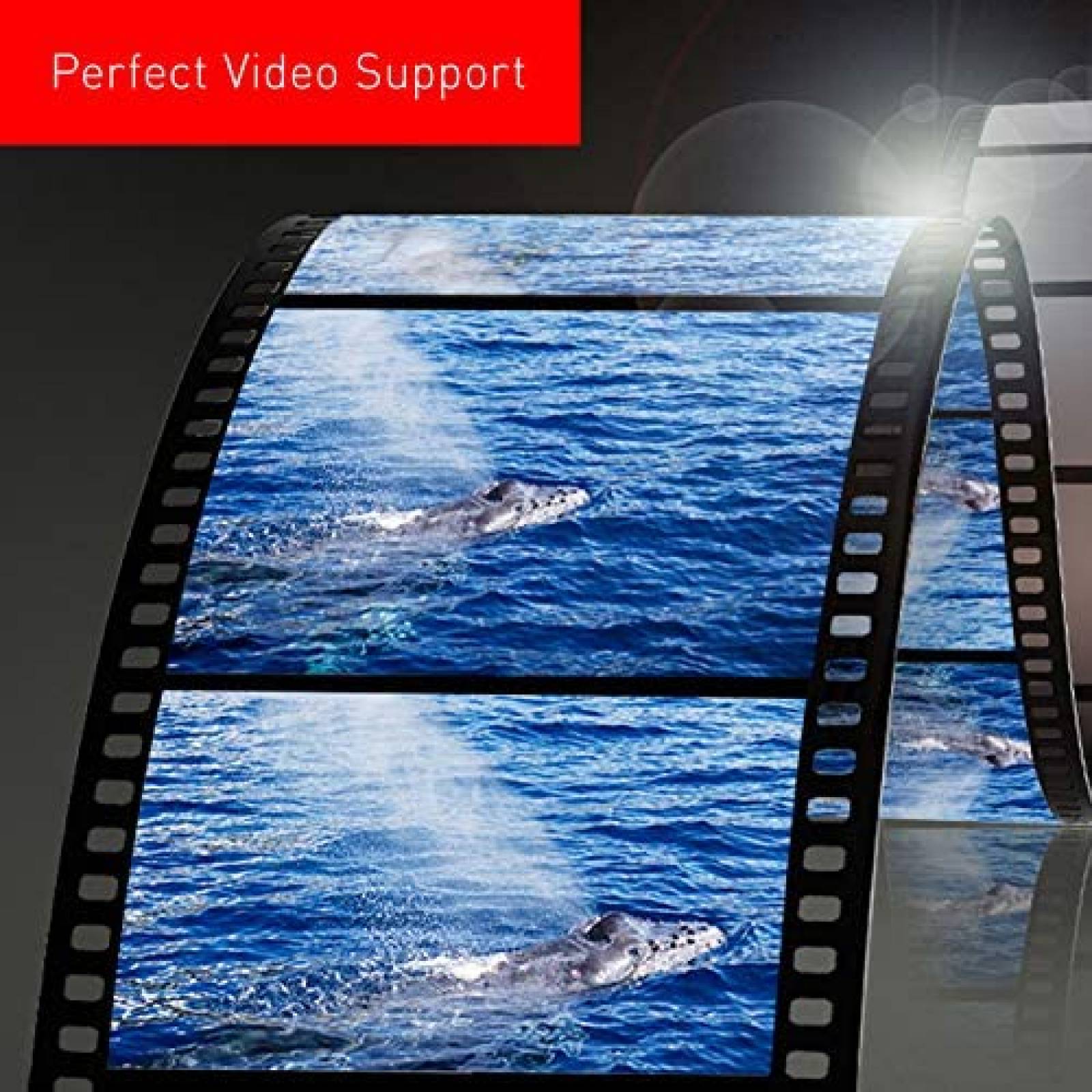 Lente para camara Panasonic LUMIX G LEICA DG VARIO 1/2-2.36"