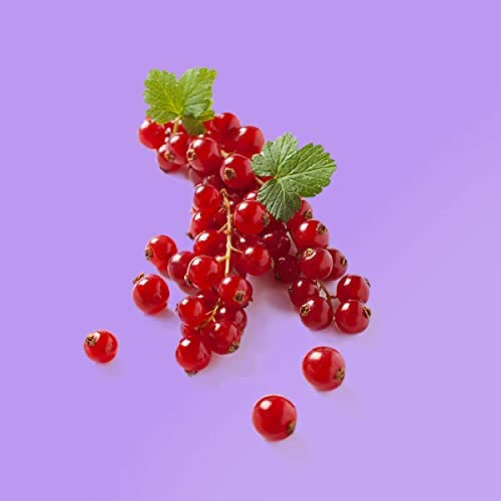 Telon Zdada Fondo Fotografico 5 x 8 ft + Clips -Morado