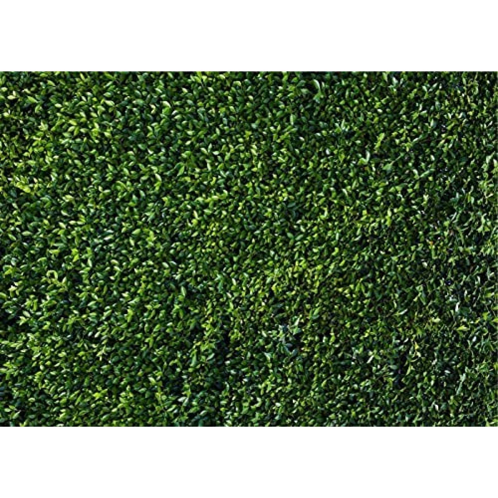 Fondo de Fotografia Qian de 7x5 Pies -Naturaleza Verde