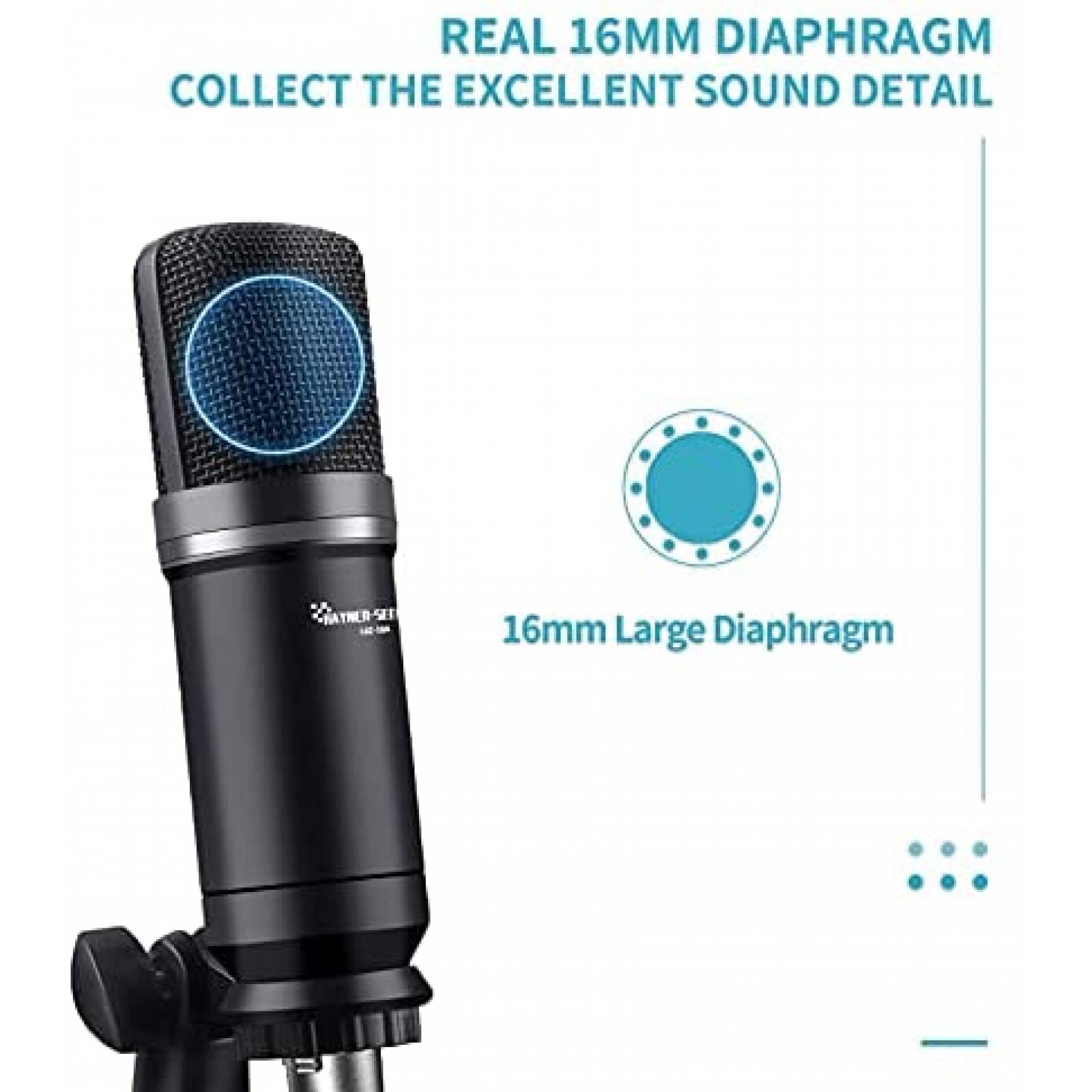 Microfono Condensador Hayner-Seek c/Filtro Pop+Tripie -Negro