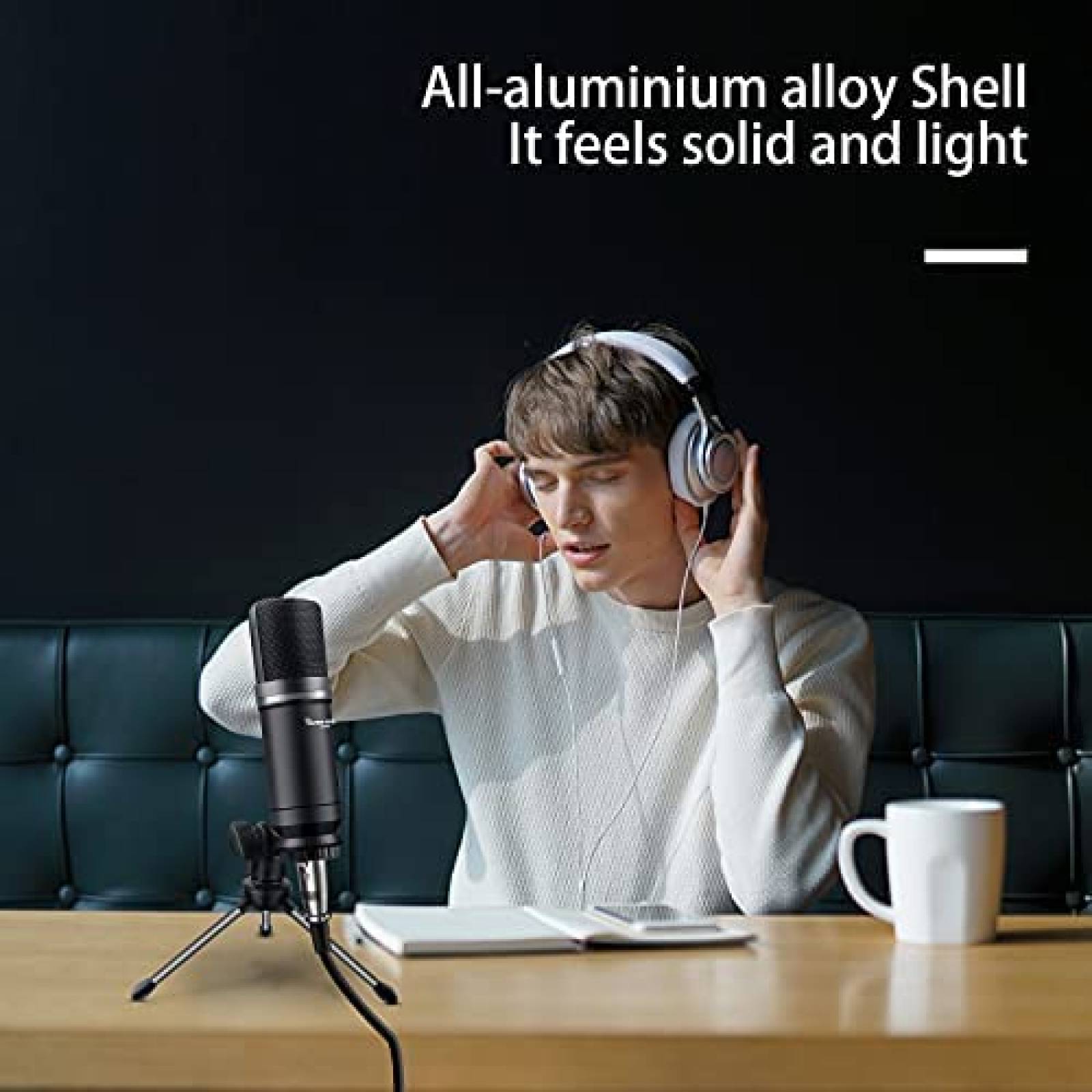 Microfono Condensador Hayner-Seek c/Filtro Pop+Tripie -Negro