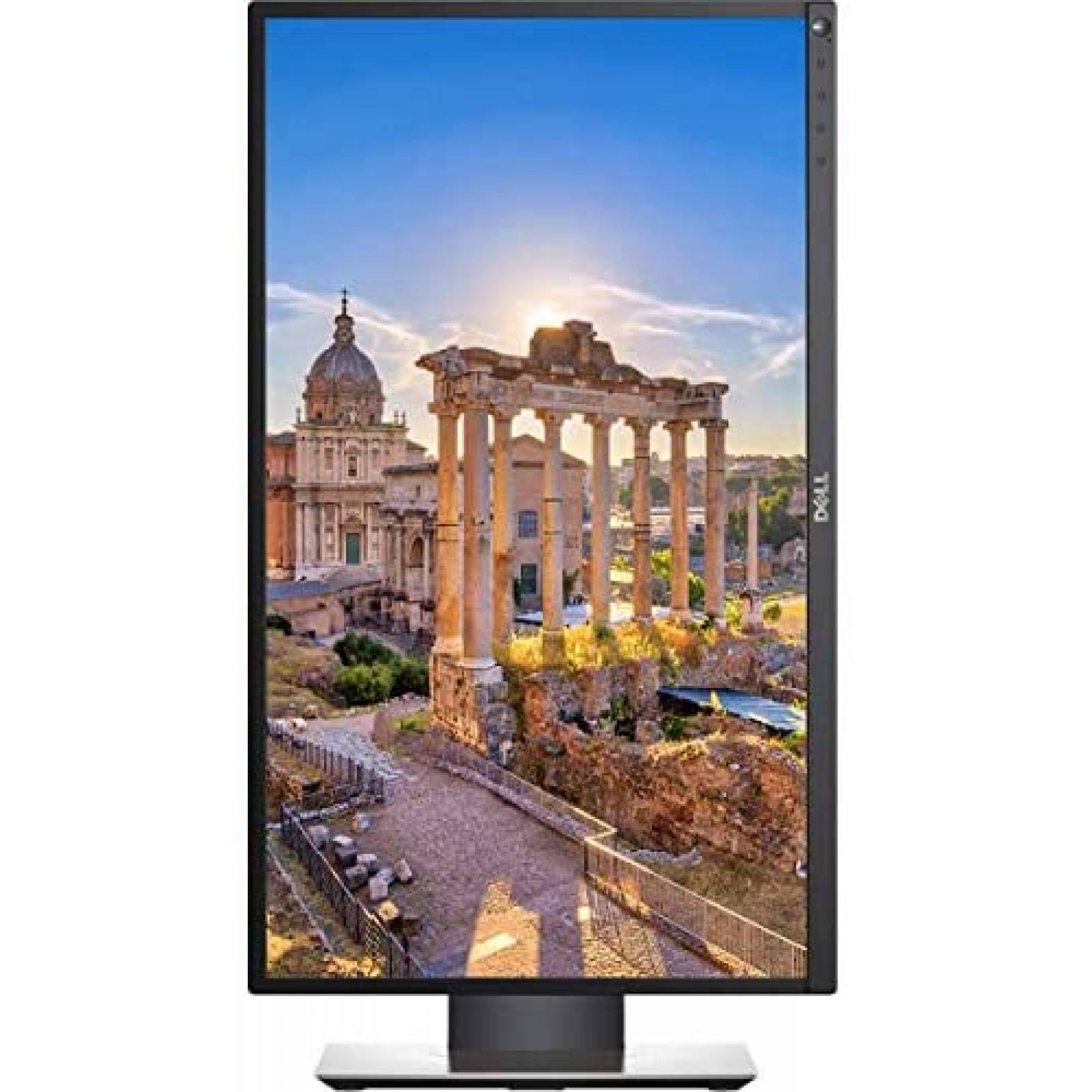 Monitor Dell P2419H 2 Pzs 24 '' LED 1920 x 1080 60Hz 1000:1