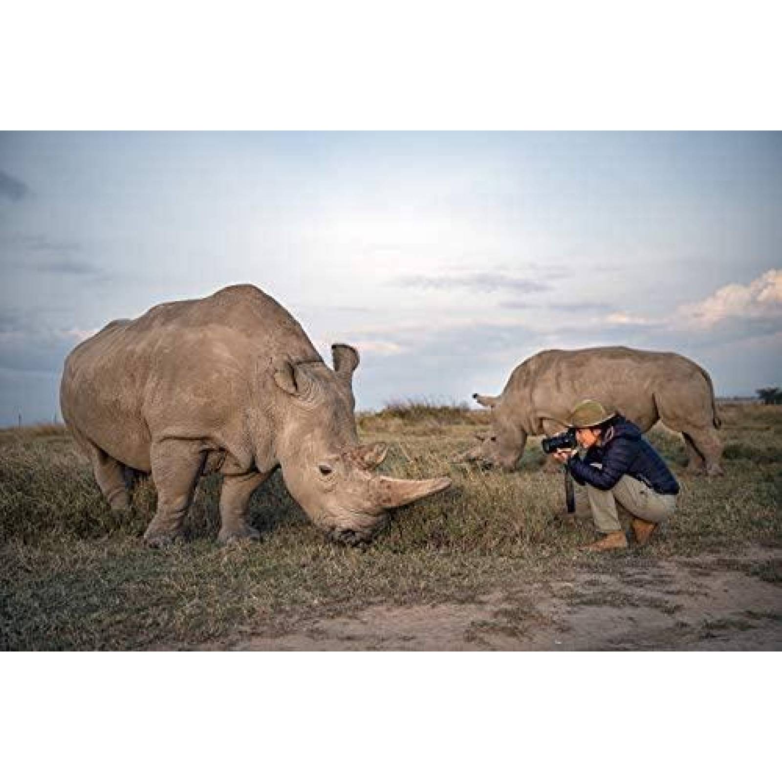 Camara DSLR Nikon D6 Formato FX Digital 14fps -Negro