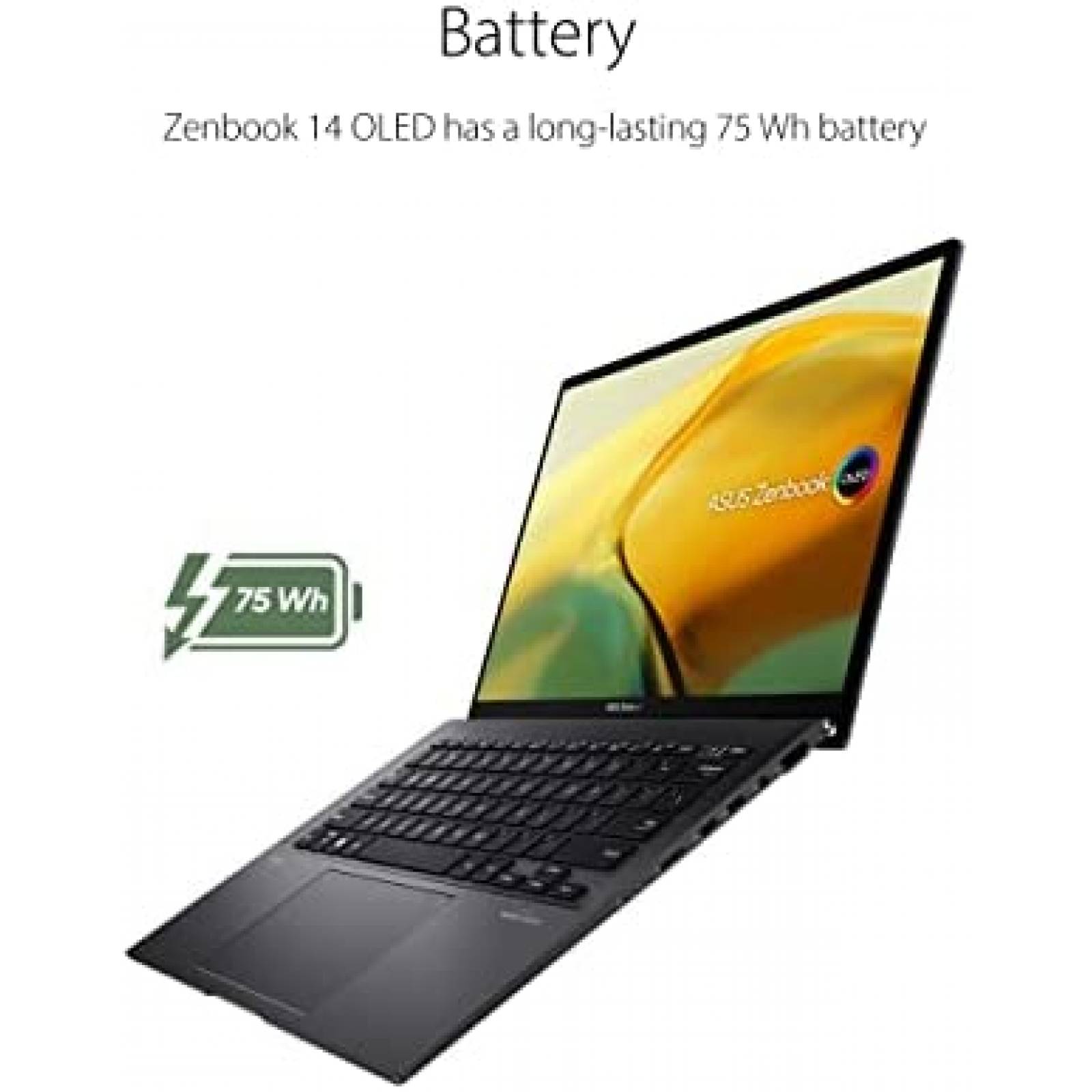 Laptop ASUS ZenBook 14'' AMD Ryzen 7 8GB 512GB -Negro