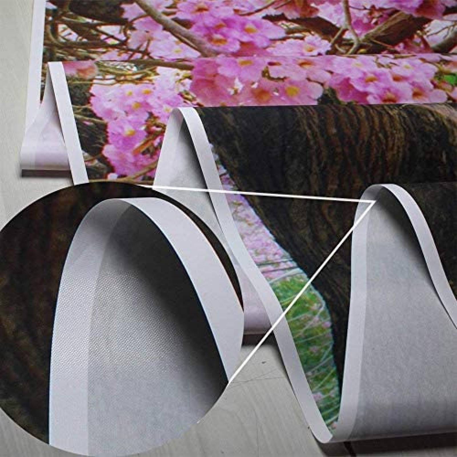 Fondo Fotografía CYLYH 4 Julio Día Independencia -Blanco