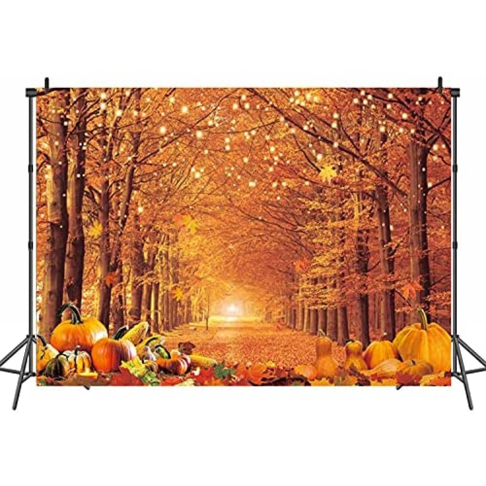 Fondo de fotografía INRUI de 8 x 6 pies de otoño -Naranja
