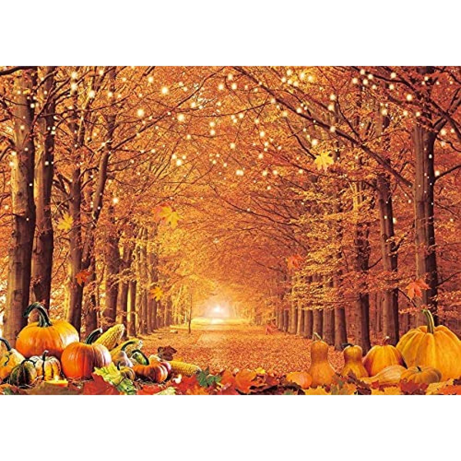 Fondo de fotografía INRUI de 8 x 6 pies de otoño -Naranja