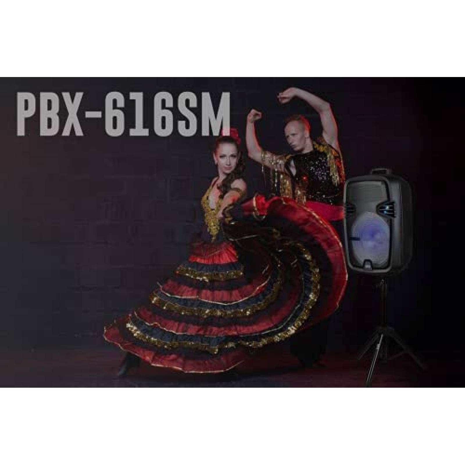 Bocina QFX PBX-616SM Bluetooth Recargable de 15" -Negro