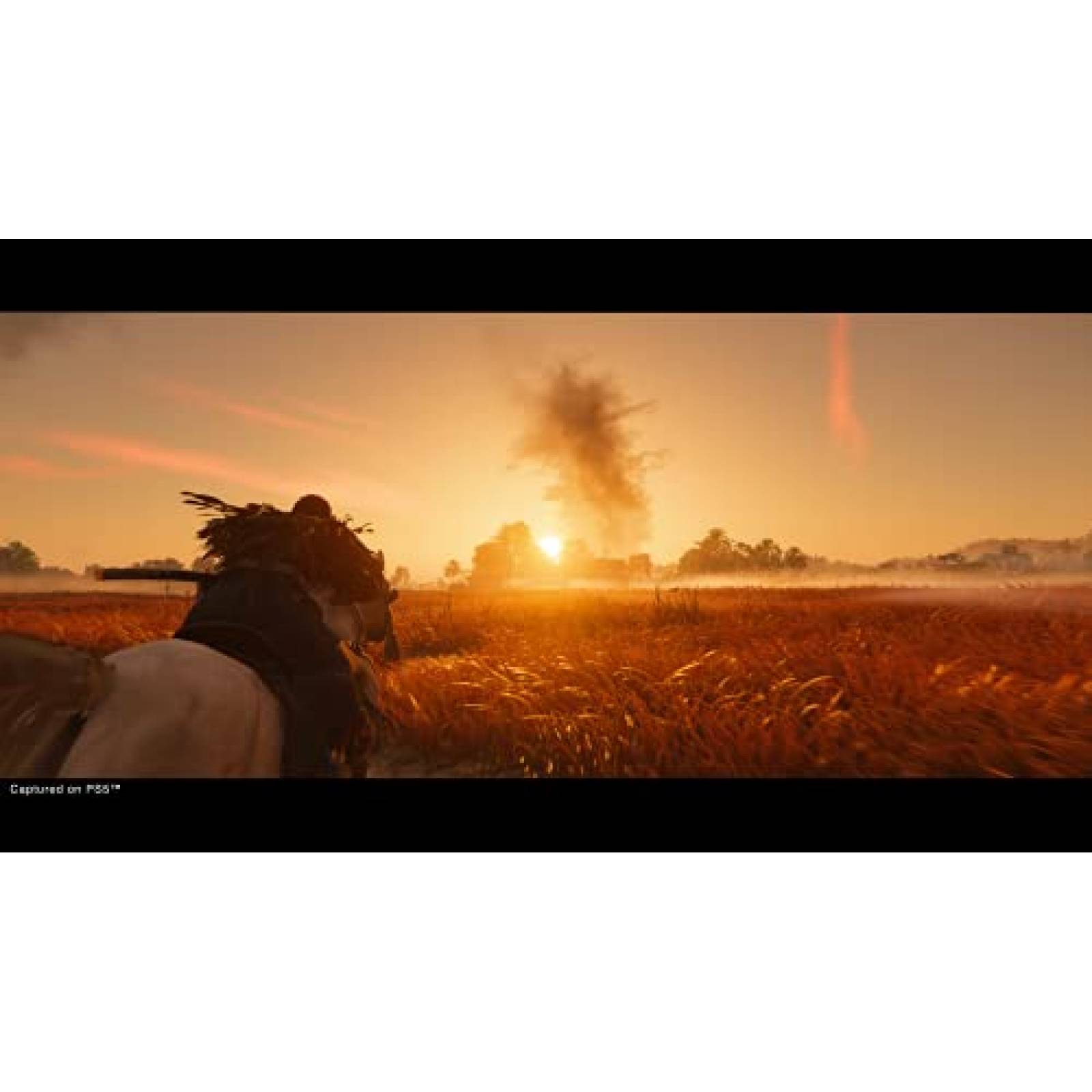 Videojuego PlayStation Ghost of Tsushima Directors Cut PS4