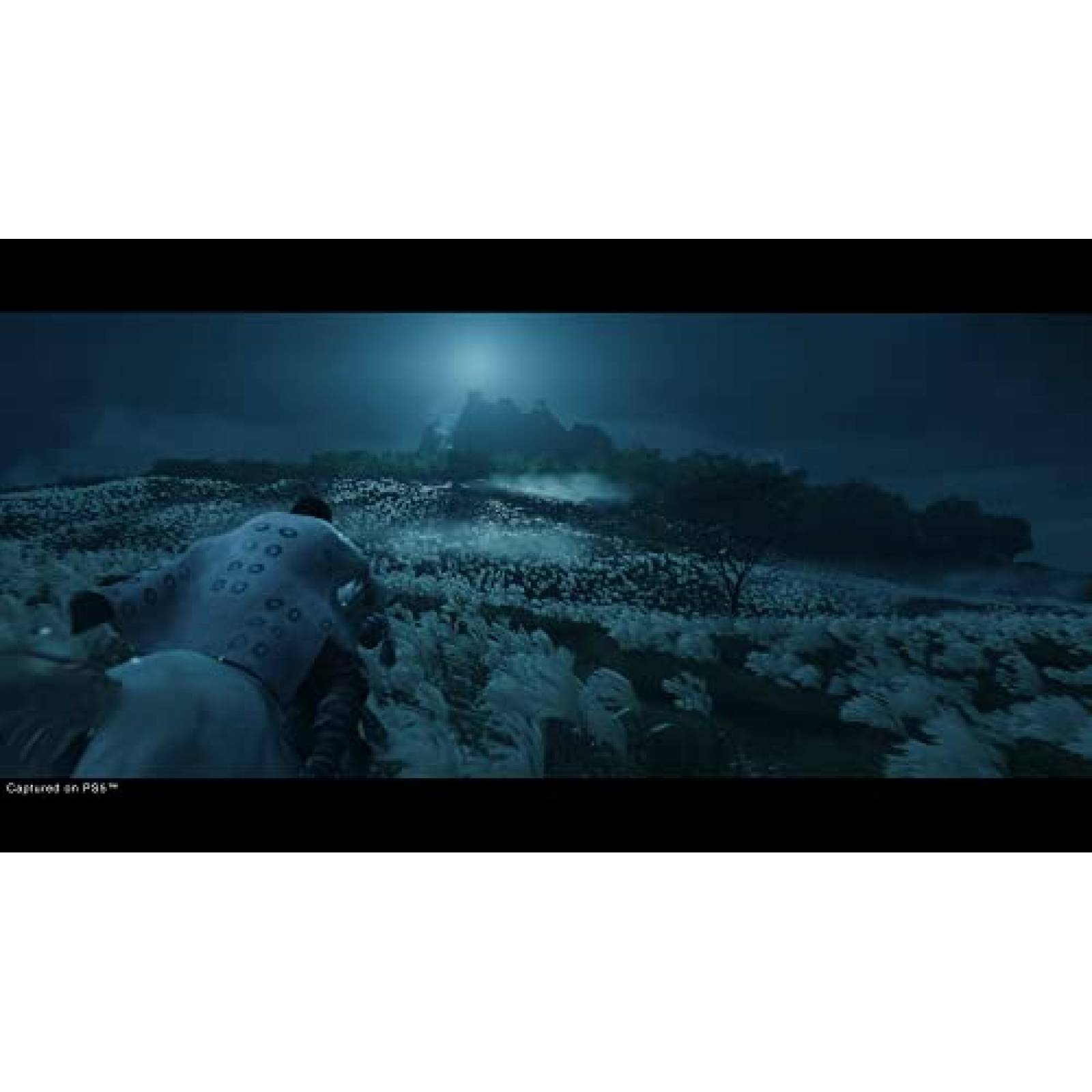 Videojuego PlayStation Ghost of Tsushima Directors Cut PS4