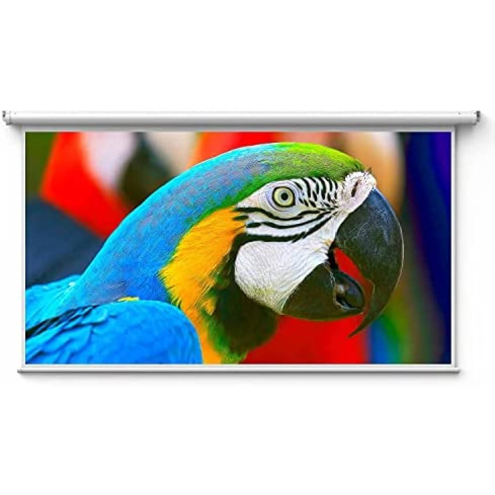 Mini Proyector Portatil Nebula Con Pantalla De Proyector