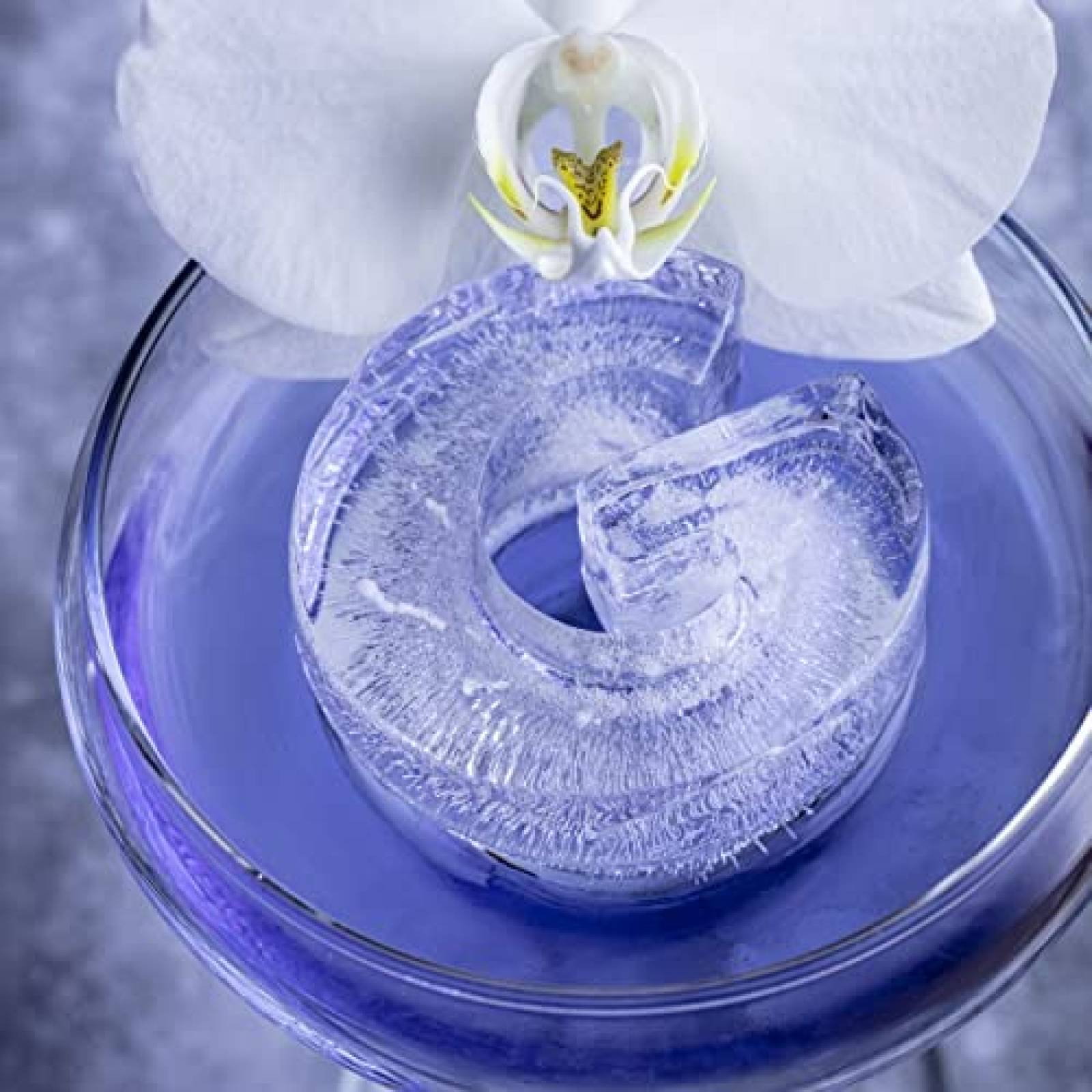 Molde para Hielos DRINKSPLINKS Grande Silicon Letra G -Negro