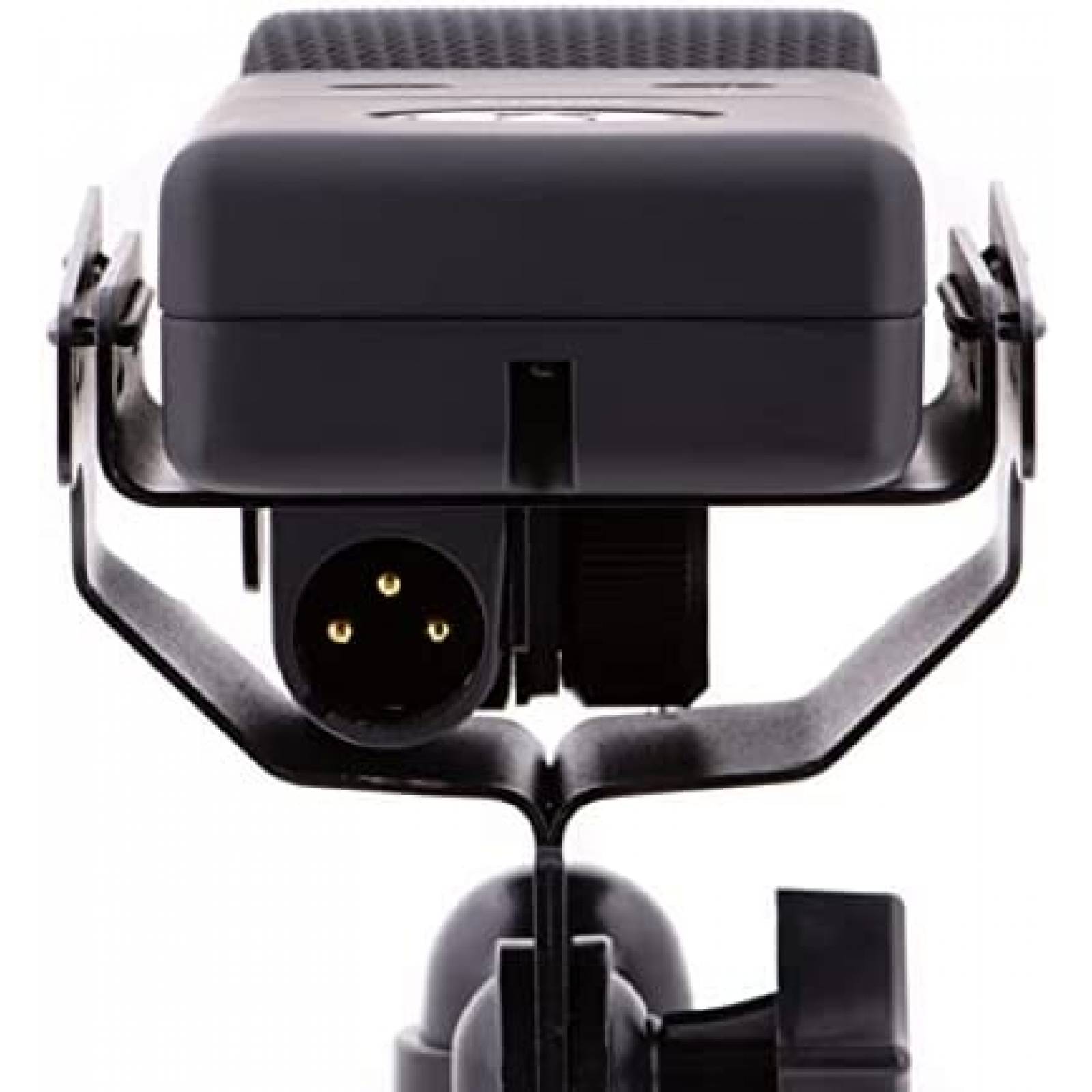 Microfono Super Carioide CAD Audio E100SX de 18KHz -Negro