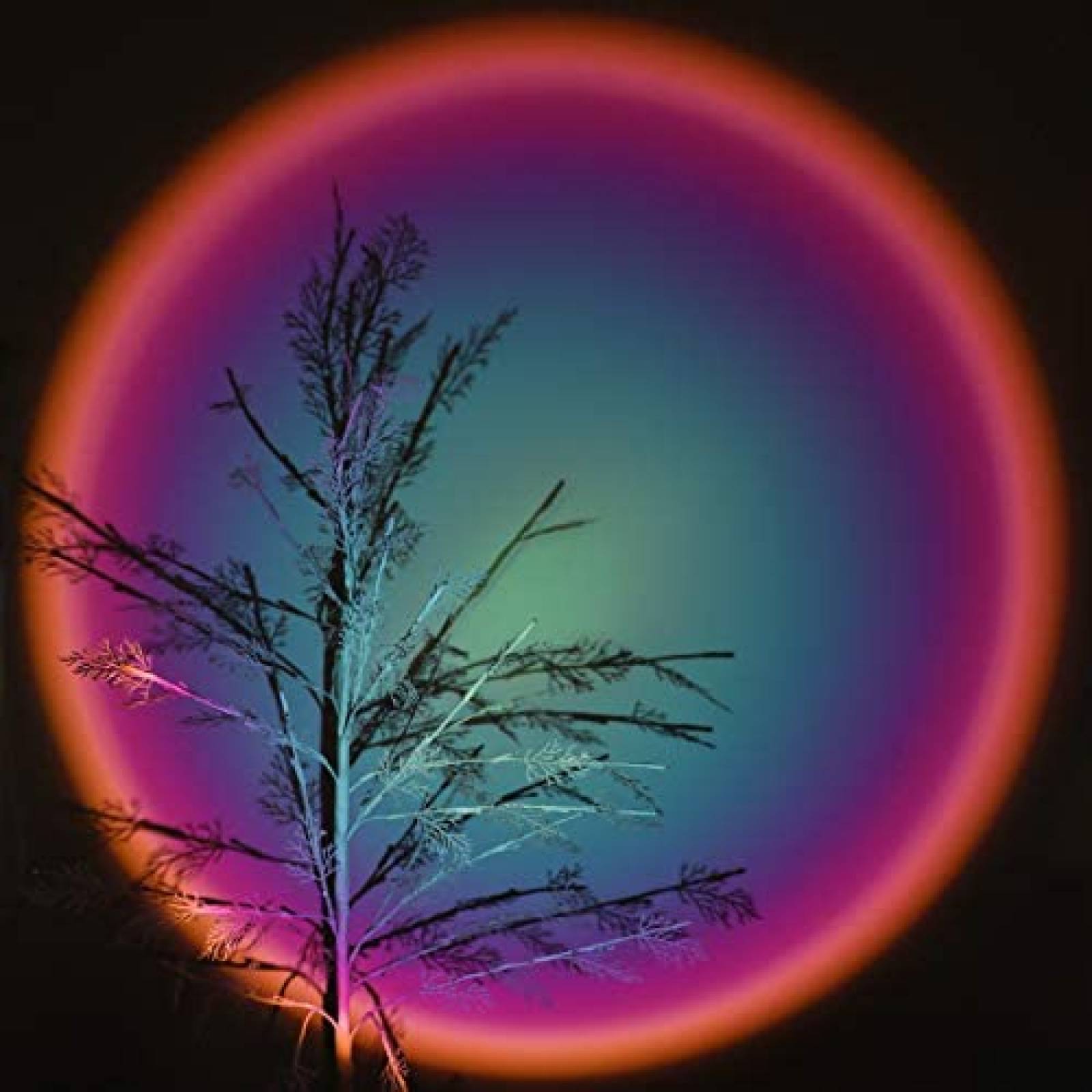 Lampara Proyector Esova de 180 Luz Tipo Arco iris -Negro