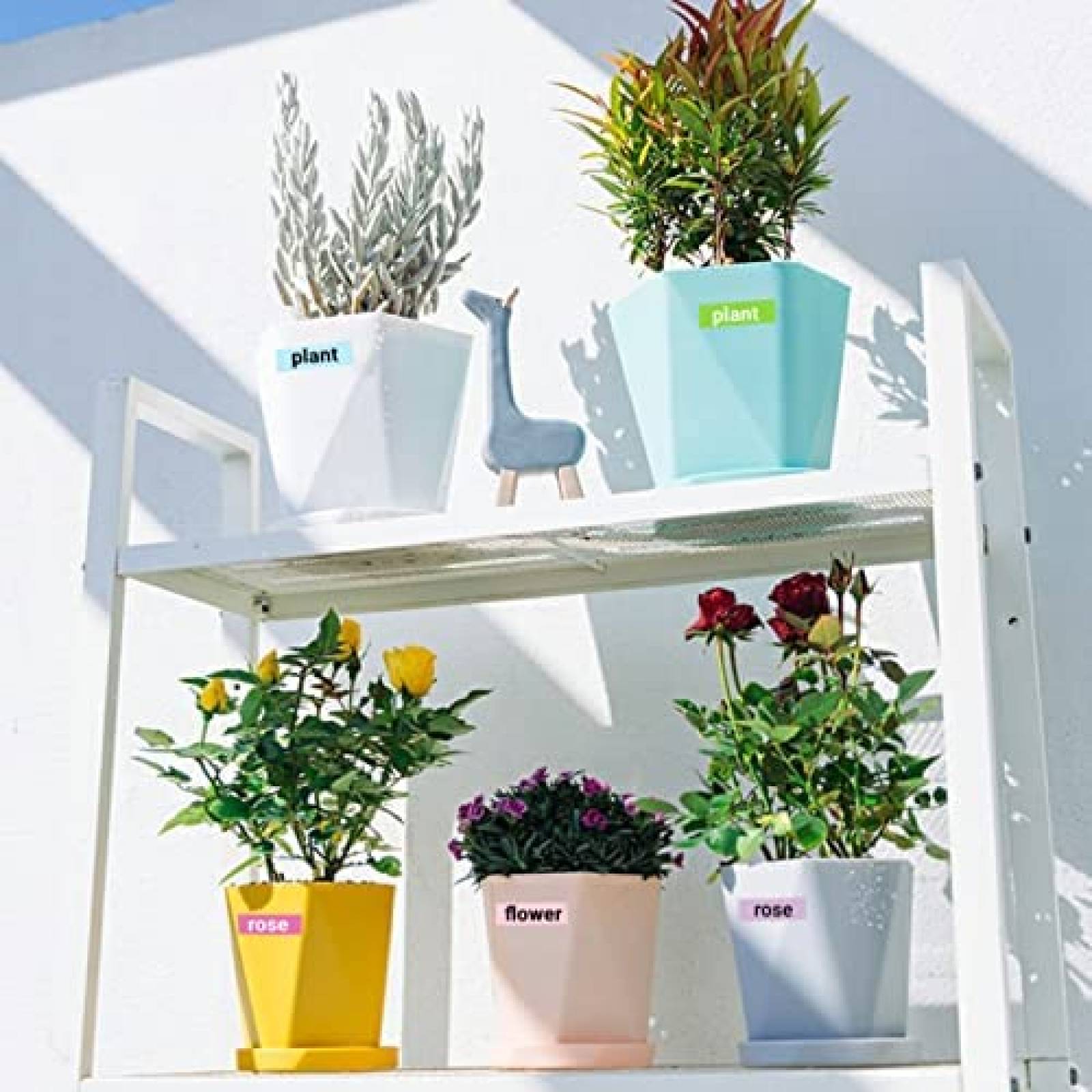 Cinta de etiquetas Lonitul para Brother P-Touch TZe 5 pzs