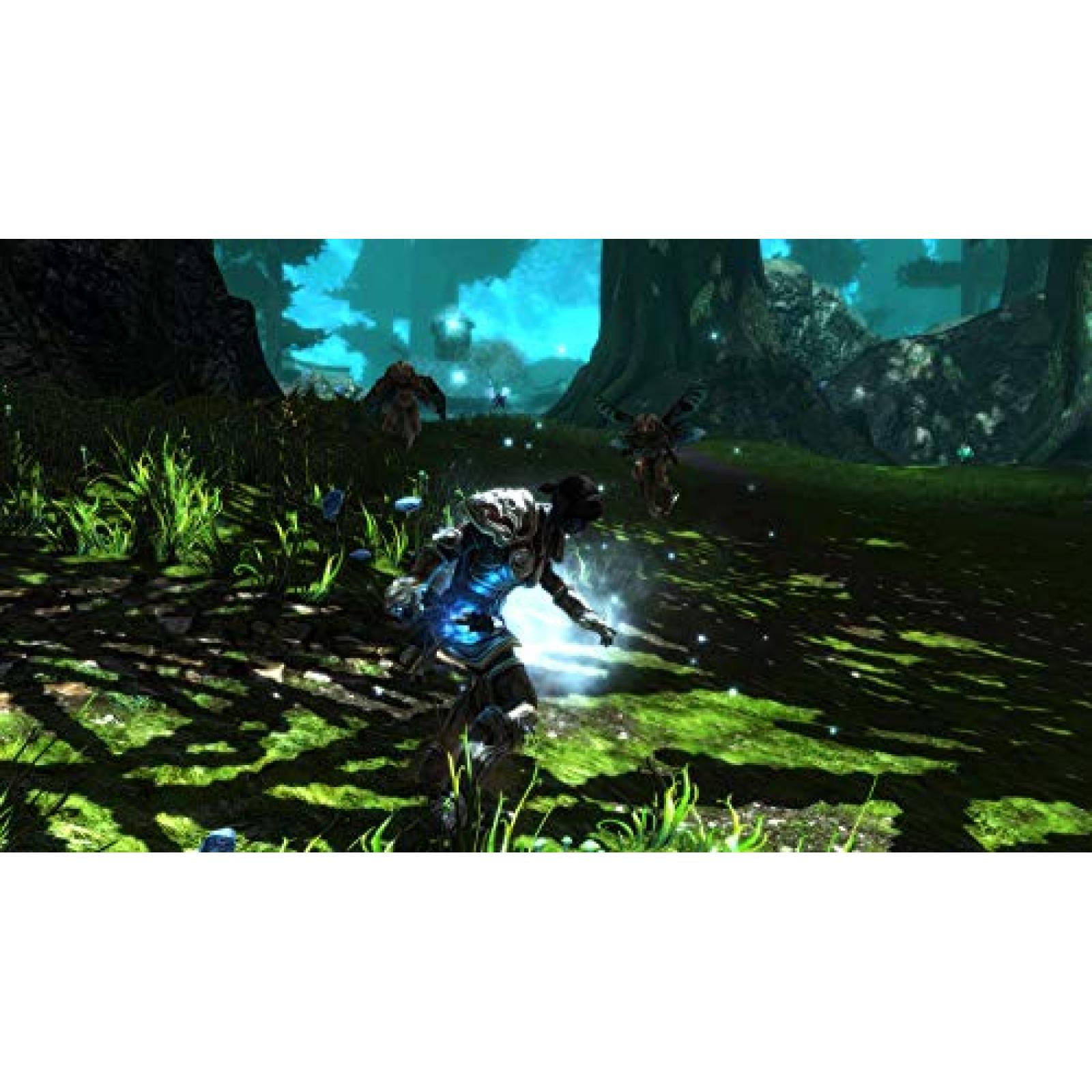 Videojuego THQ Nordic Kingdoms of amalur Re-Reckoning Switch