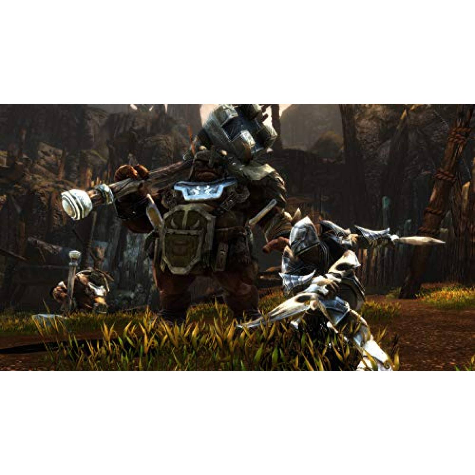 Videojuego Kingdoms of Amalur Re-Reckoning para Switch -Cafe