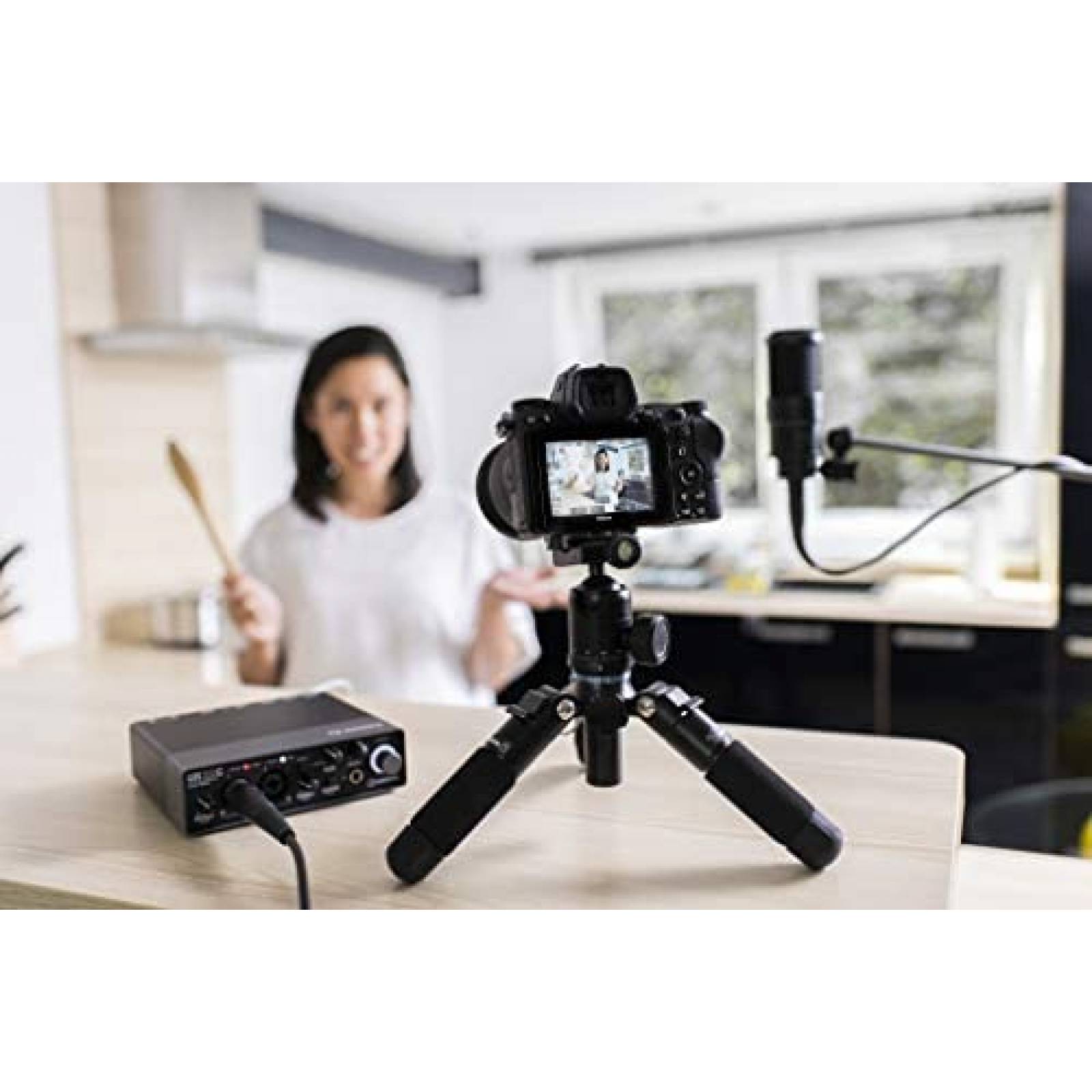 Interfaz de Audio Steinberg UR22C Cubase AI y LE -Negro