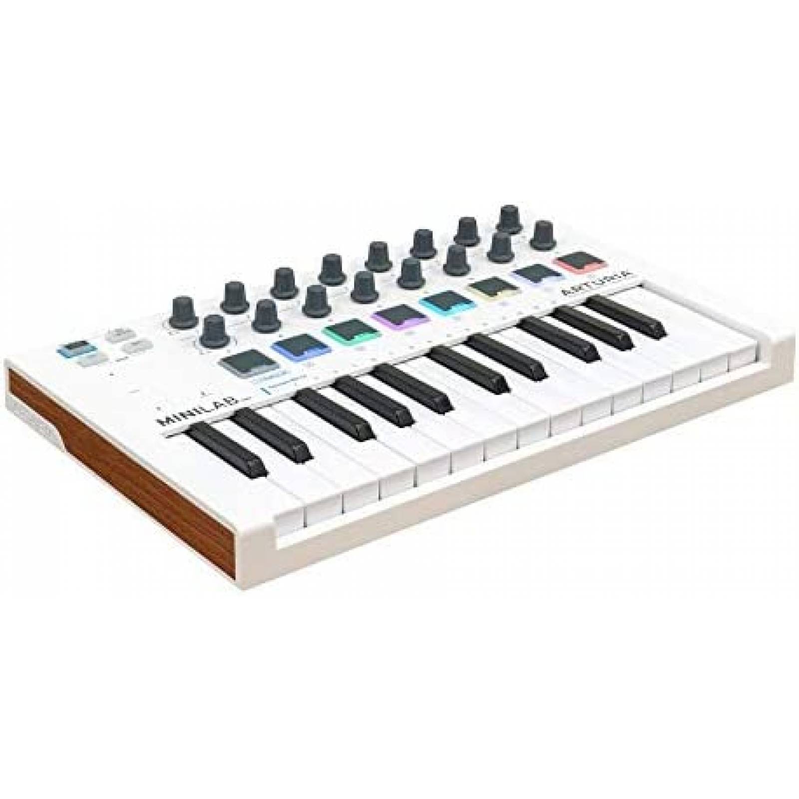 Teclado MIDI Arturia Minilab MKII con Mic. y Soporte -Negro