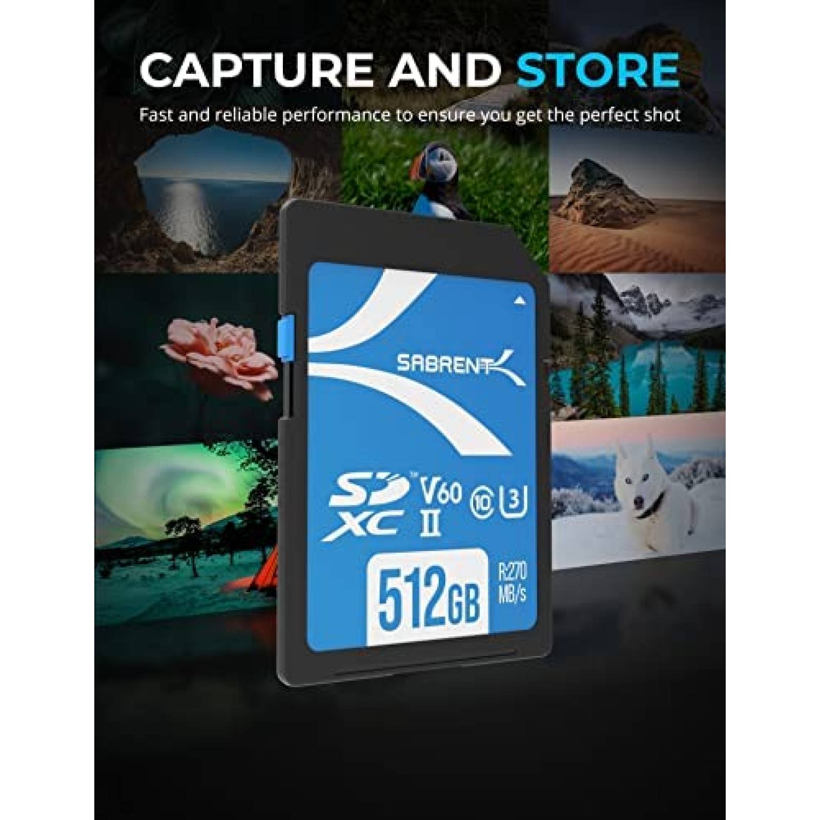 Tarjeta de Memoria SD Sabrent TL60 UHS-II Rocket V60 512GB