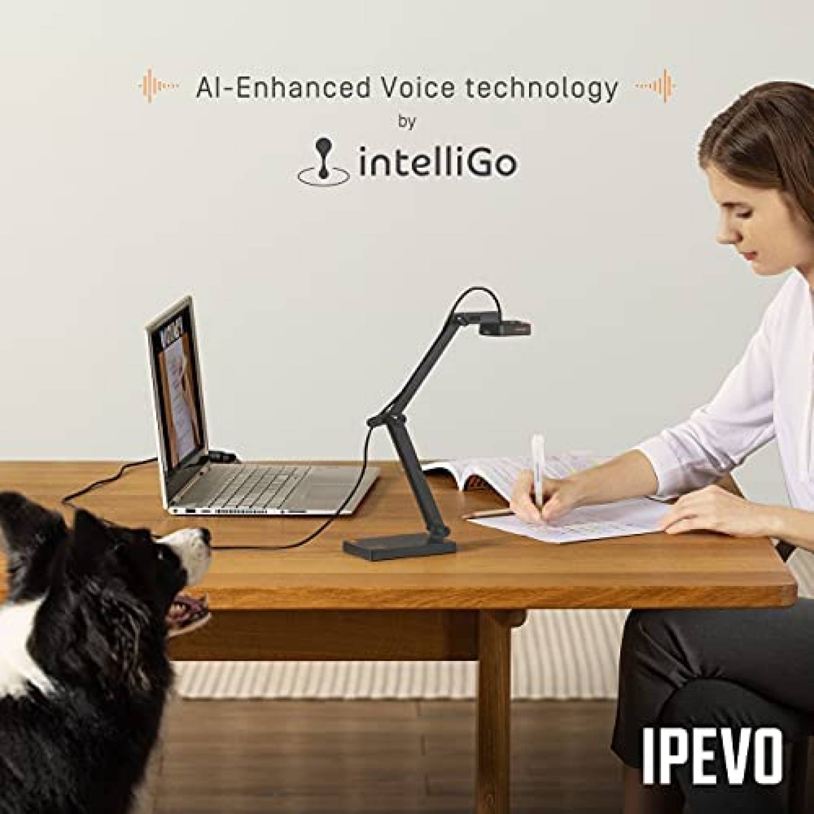 Webcam IPEVO USB 4K Ultra HD con Microfono -Negro