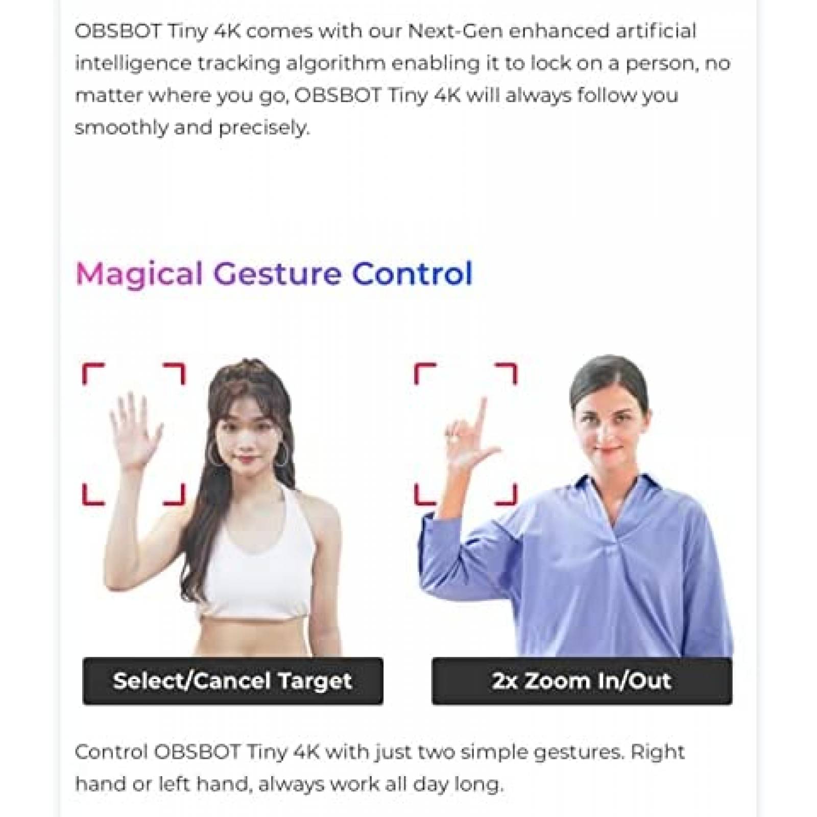 Webcam OBSBOT Tiny 4K HDR Con Zoom 1080P Microfono -Negro