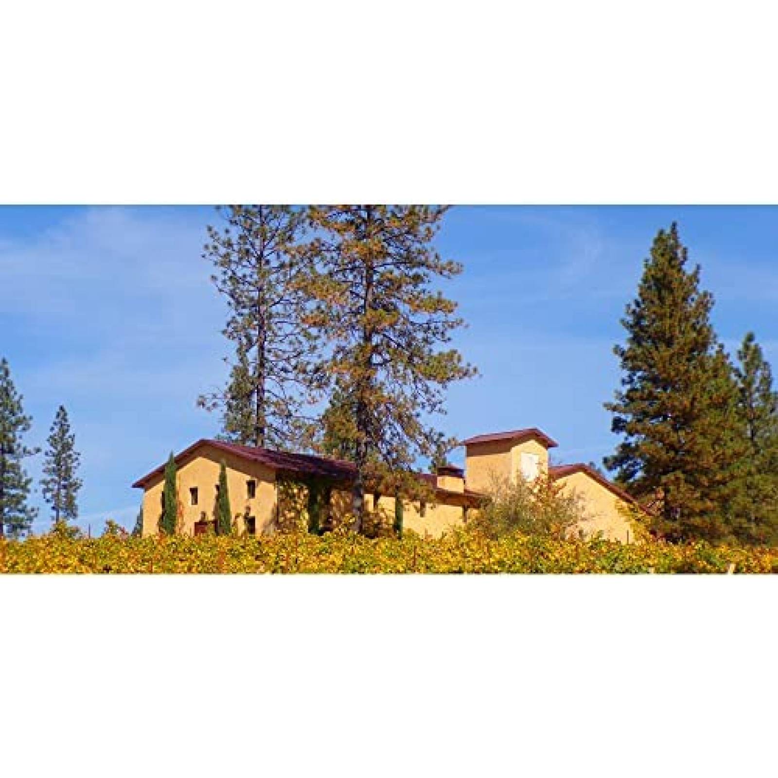 Camara KODAK AZ401 PIXPRO 3" LCD 16MP 32GB SDHC -Negro