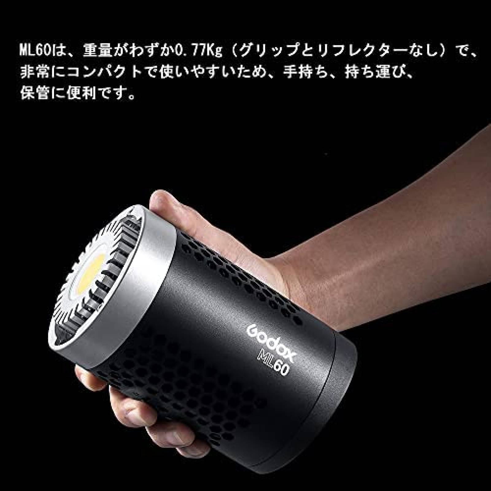 Kit de Iluminacion Godox ML60 60W Led con Filtro de Panal -N