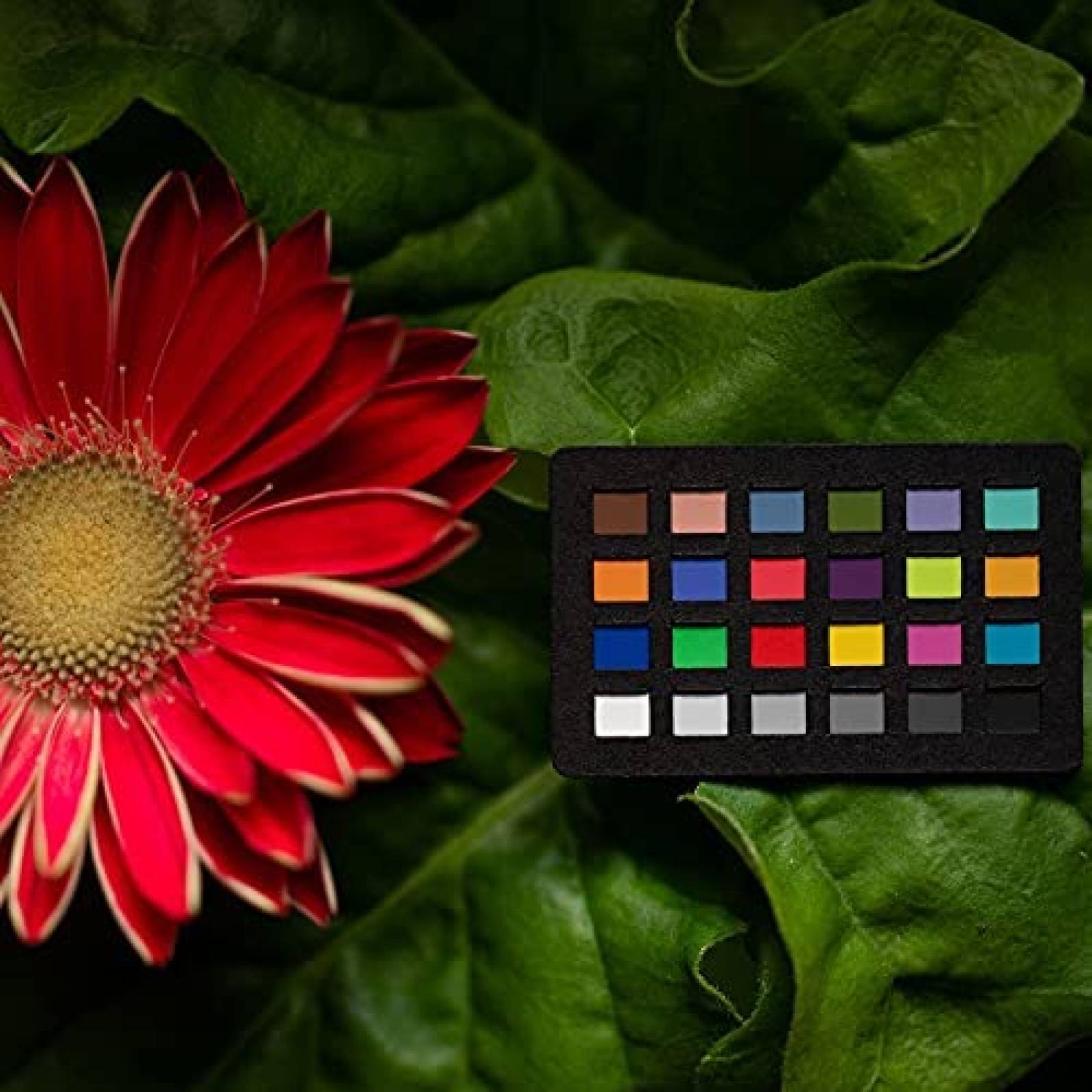 Calibrador de Color Calibrite Nano Tamaño 1 x 1,5 Pulgadas