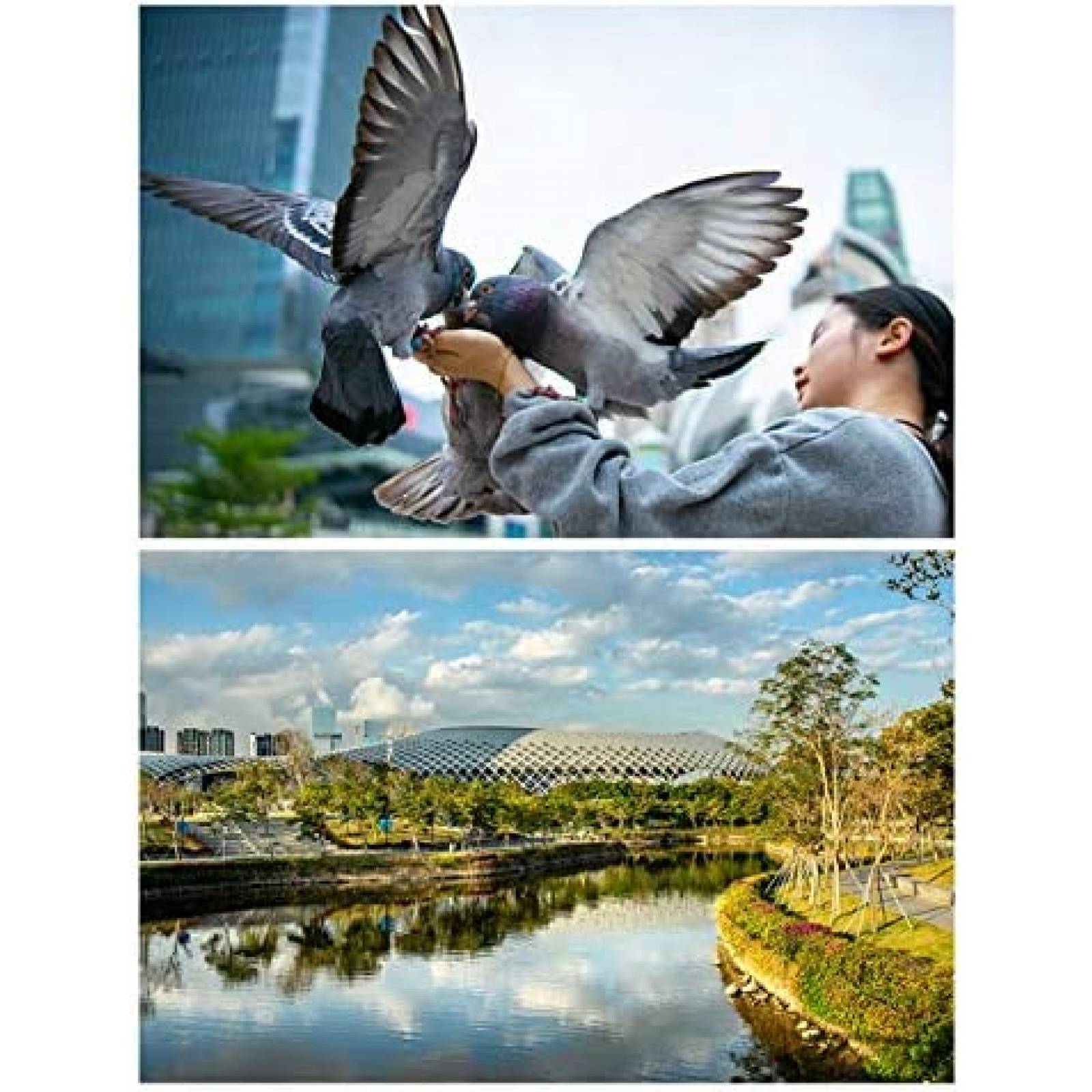 Lente de Camara VILTROX 23mm F1.4 para Sony E -Negro