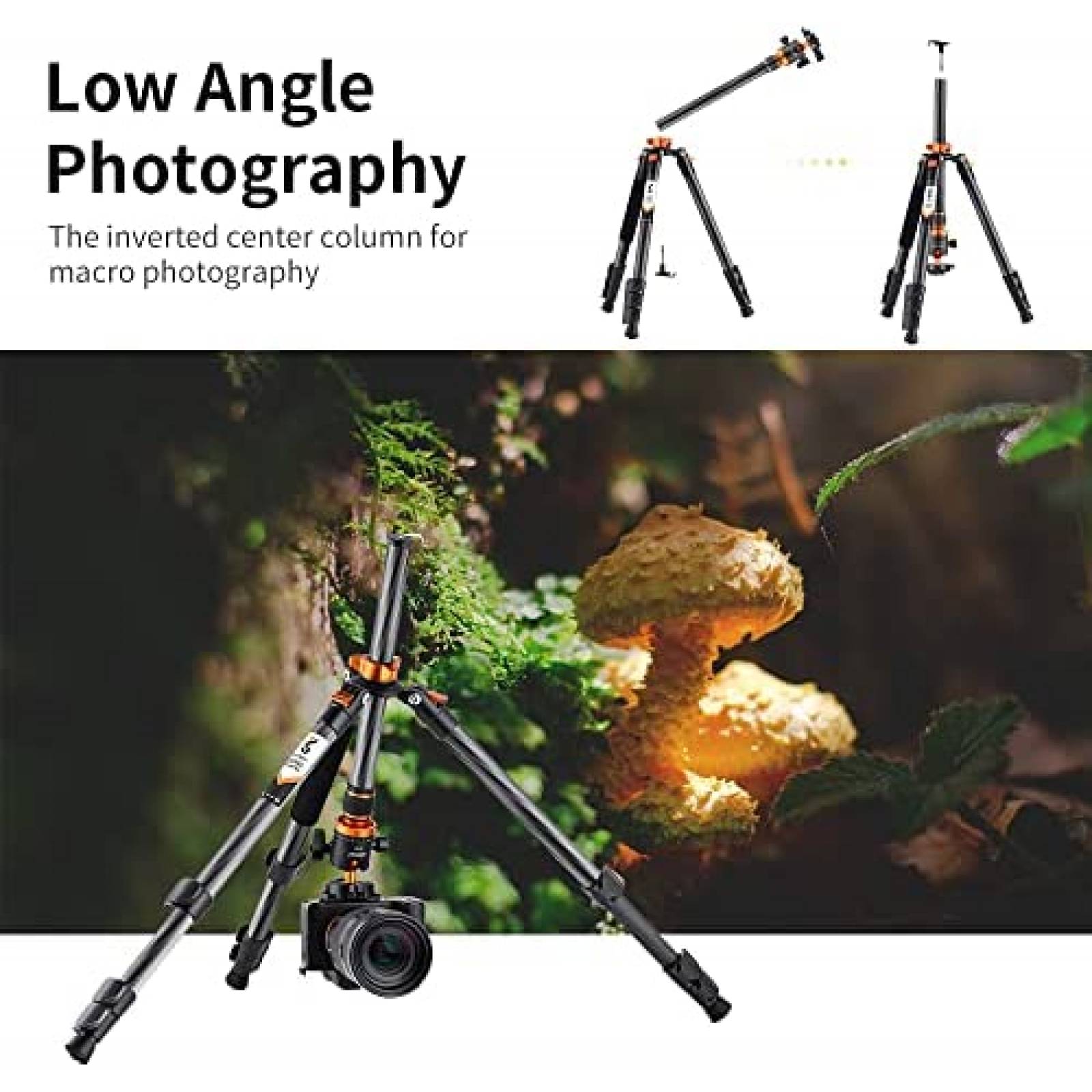 Tripie K&F Concept Fibra de Carbono de 63" Carga 10 kg