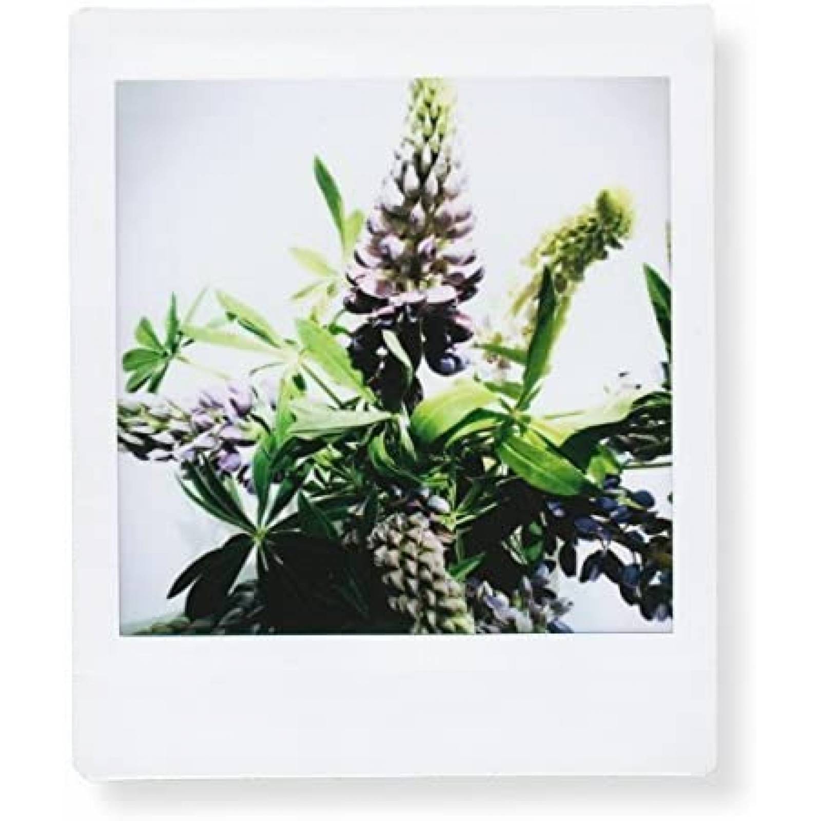 Papel para Camara Instantanea Fujifilm Instax 100 Piezas