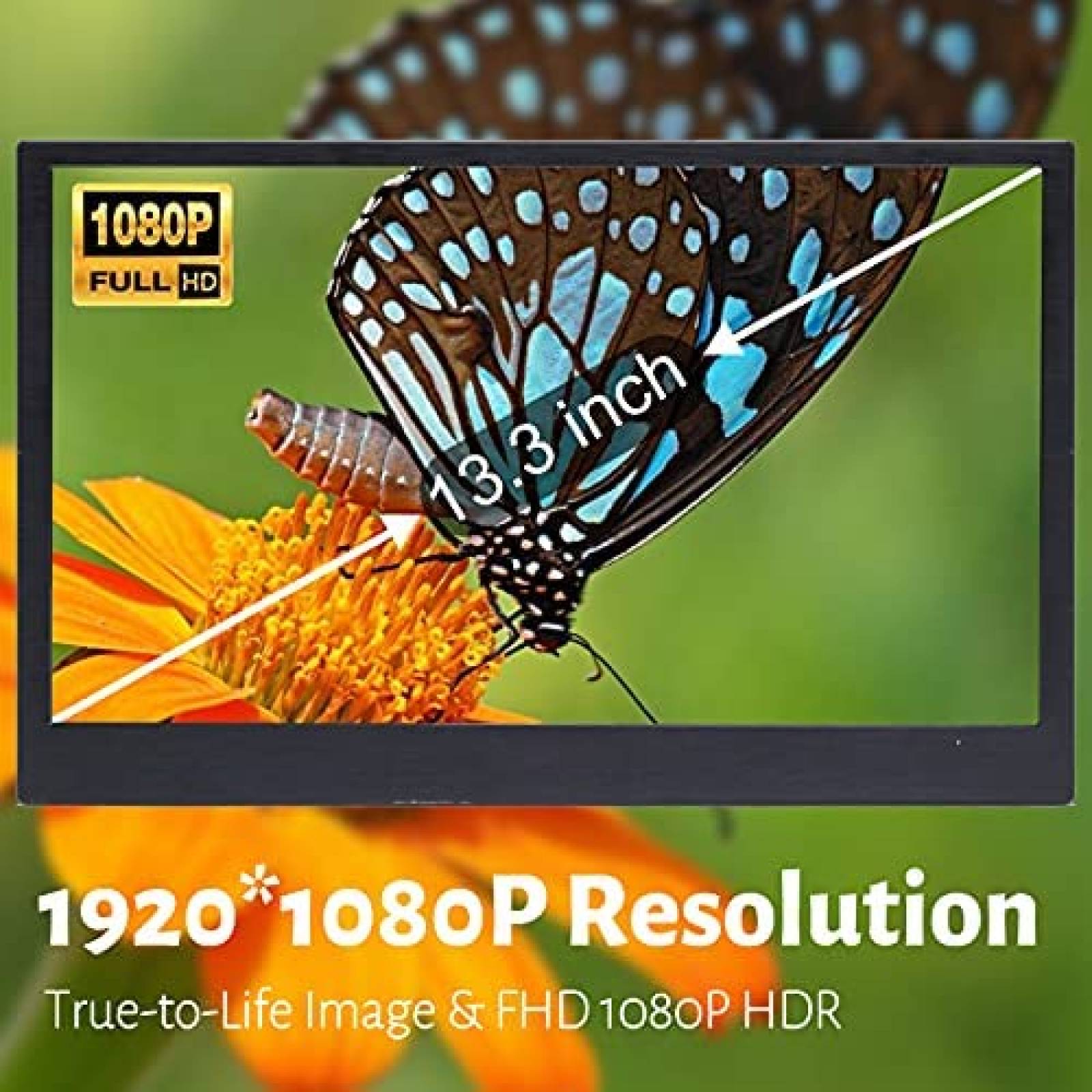 Monitor Para Laptop Gretutu 13.3'' Full HD IPS -Negro