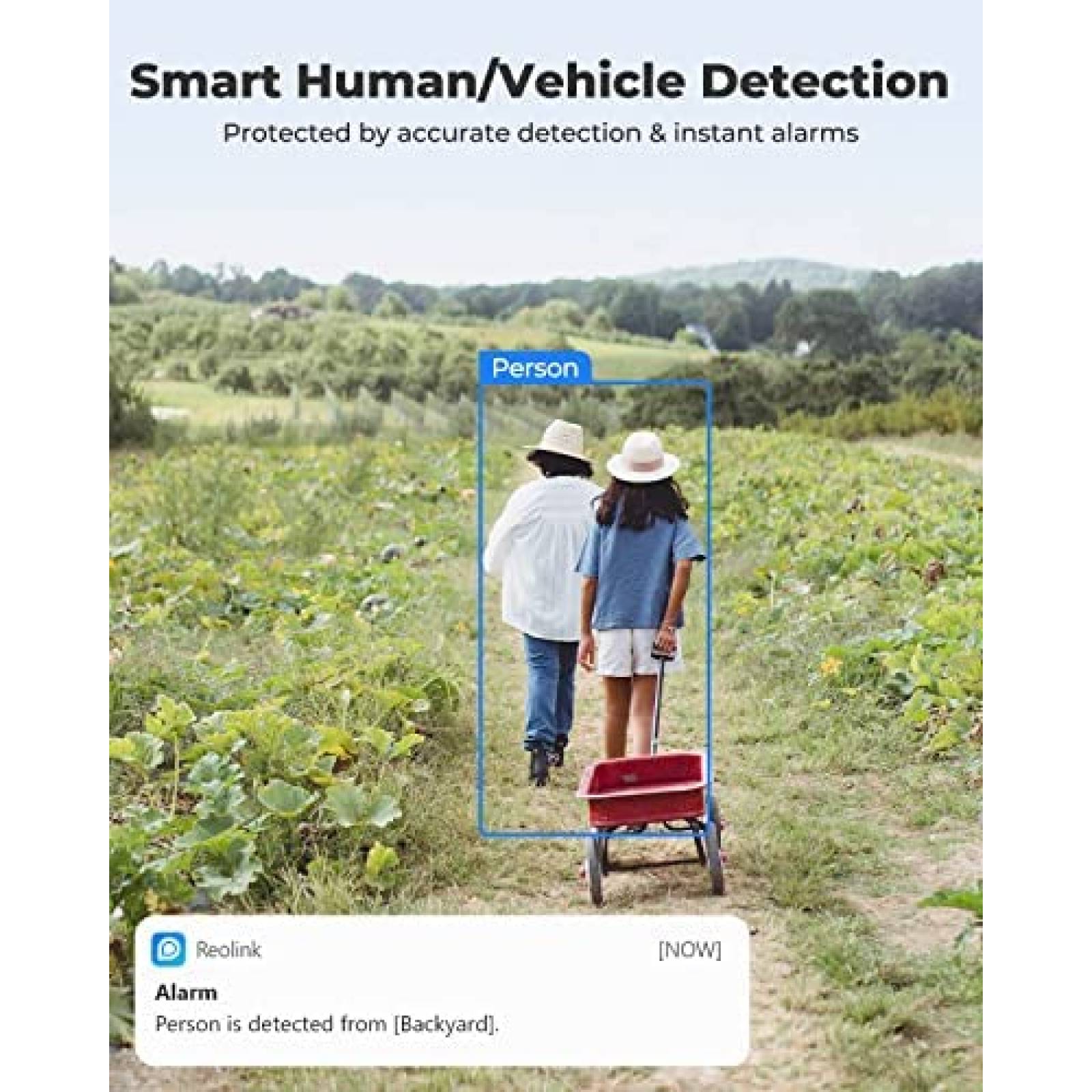 Camara de Seguridad REOLINK Go PT Plus 2K HD Vision Nocturna