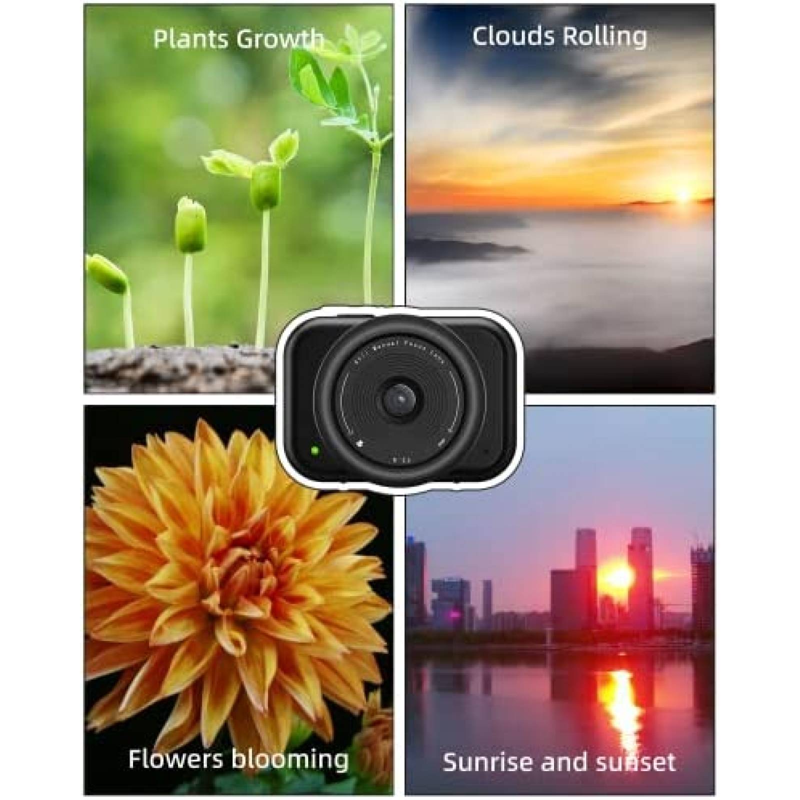 Camara Time Lapse ATLI T100 24h 1080P Wfi App -Negro