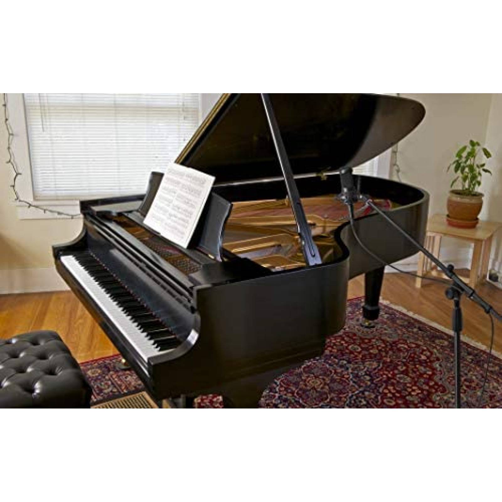 Microfono Condensandor Audio-Technica AT2050 Multi Patron